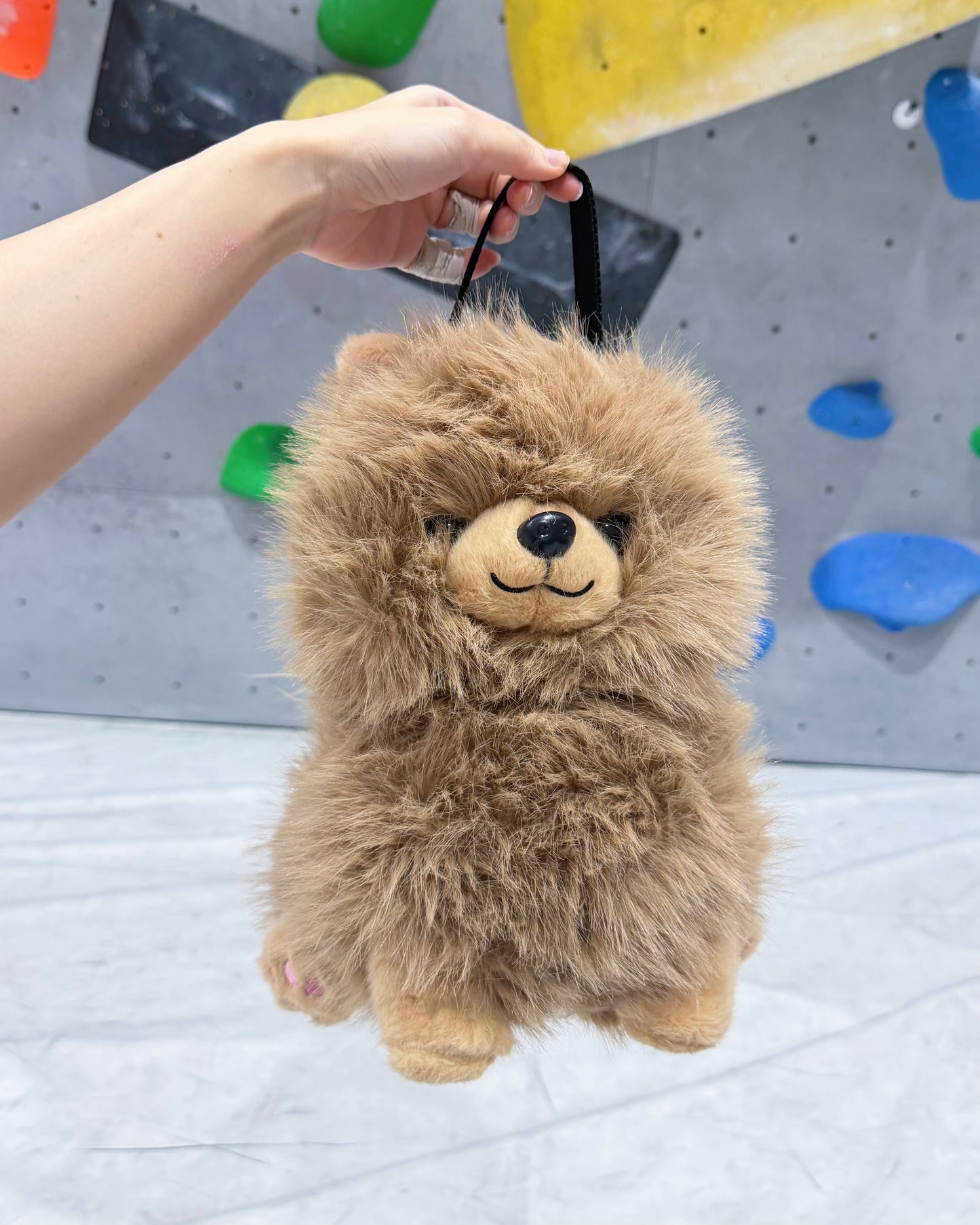 Pomeranian Bouldering Bag : Brown