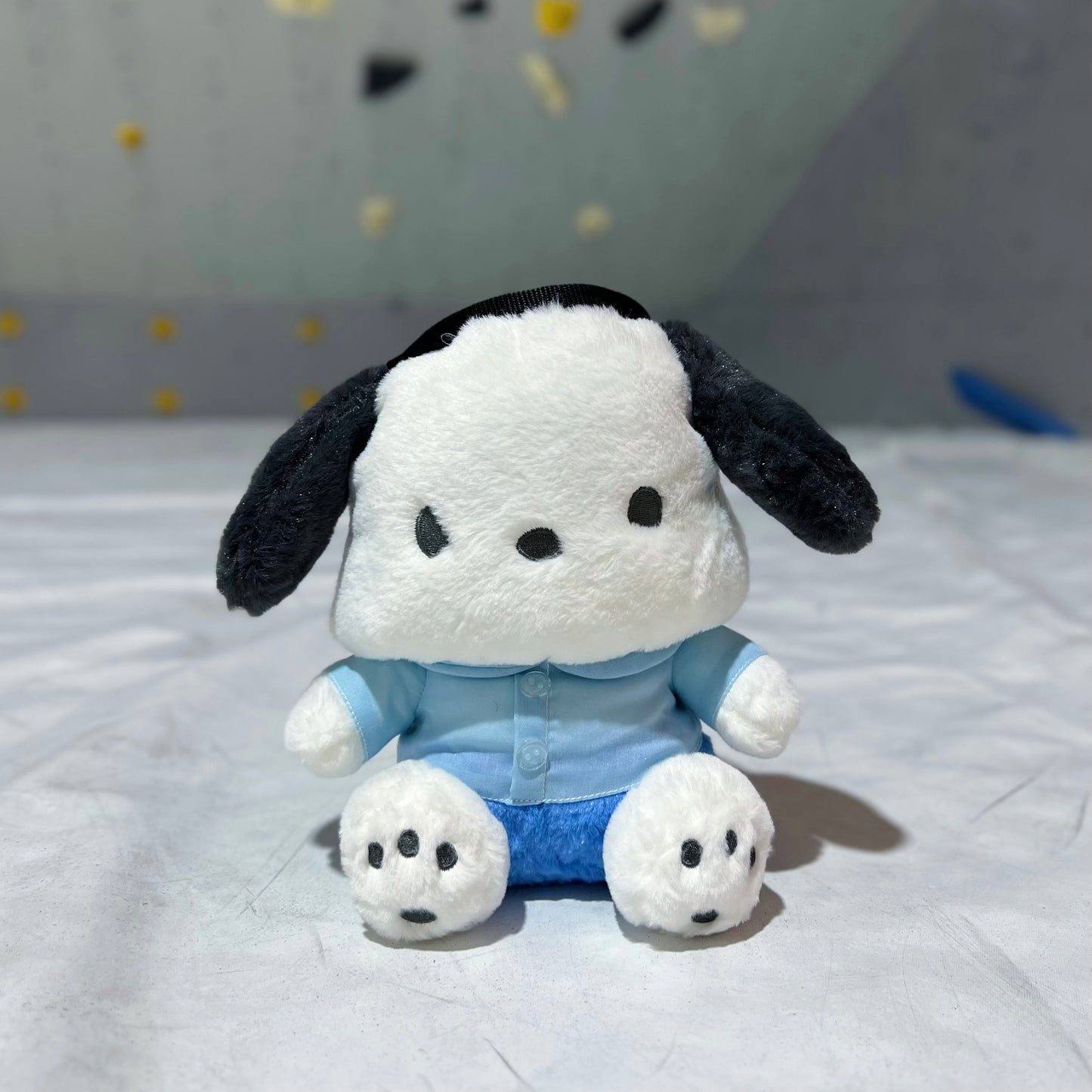 Pochacco chalk bag