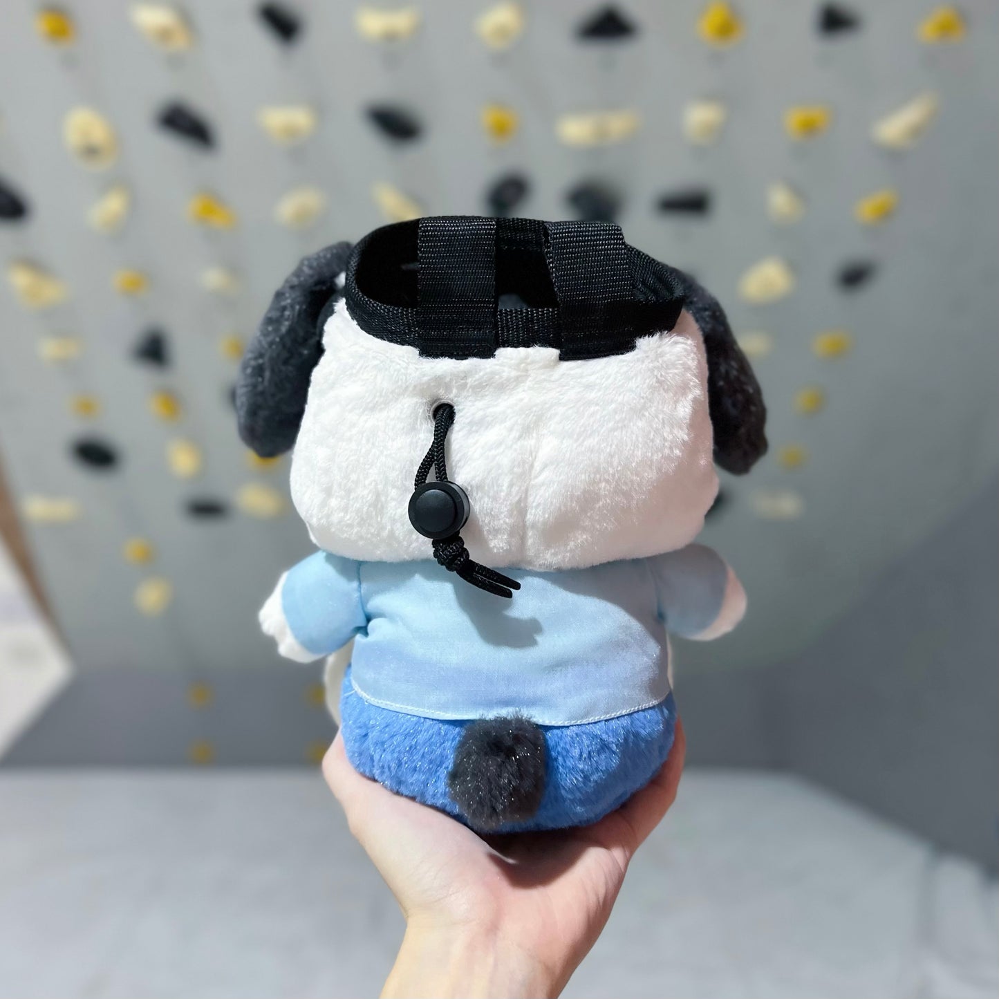 Pochacco chalk bag