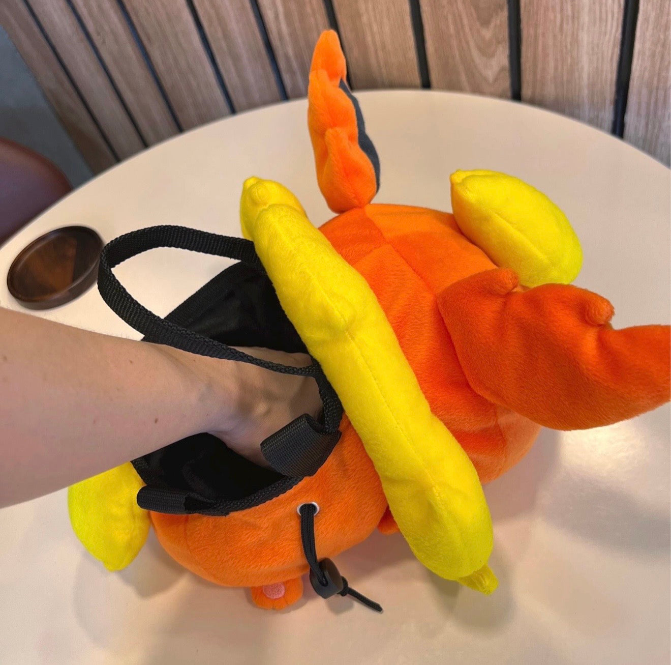Flareon bouldering bag