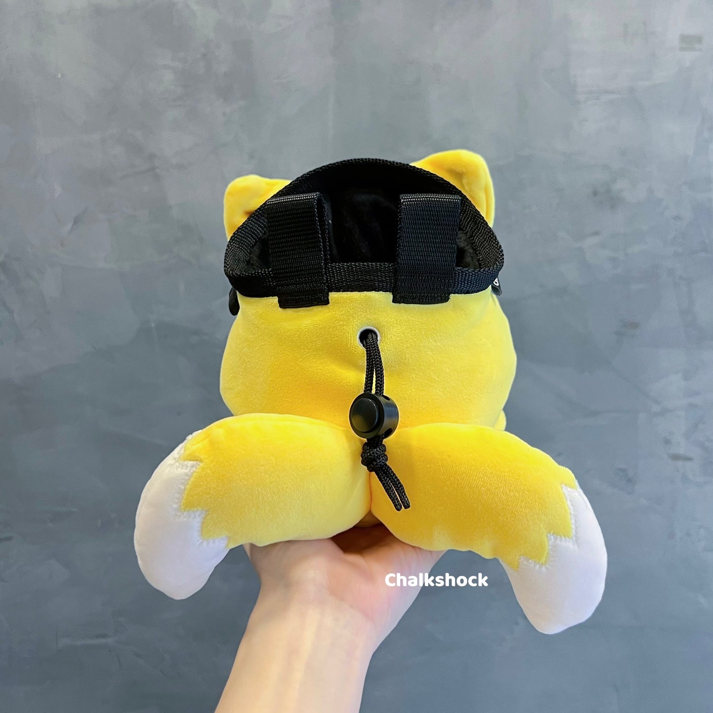 Tails Miles Prower chalk bag
