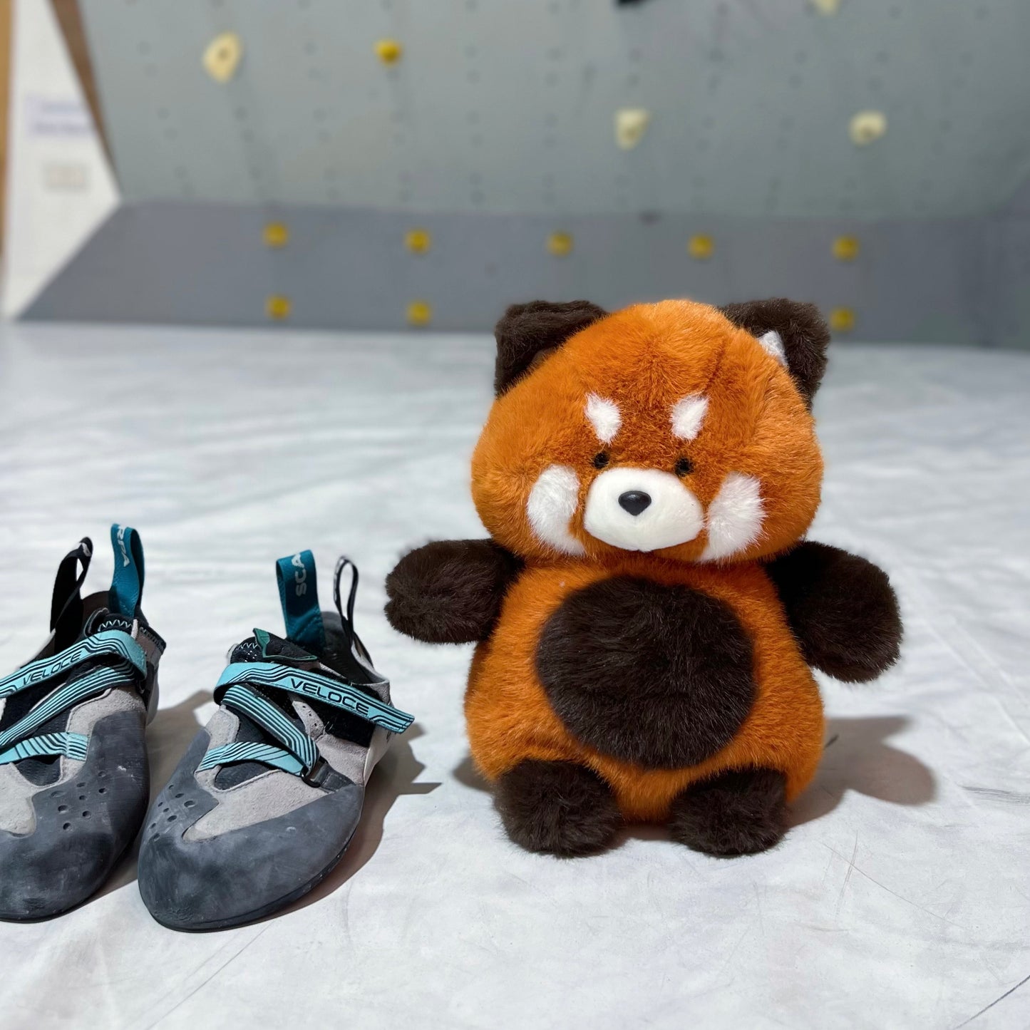 Red Panda chalk bag