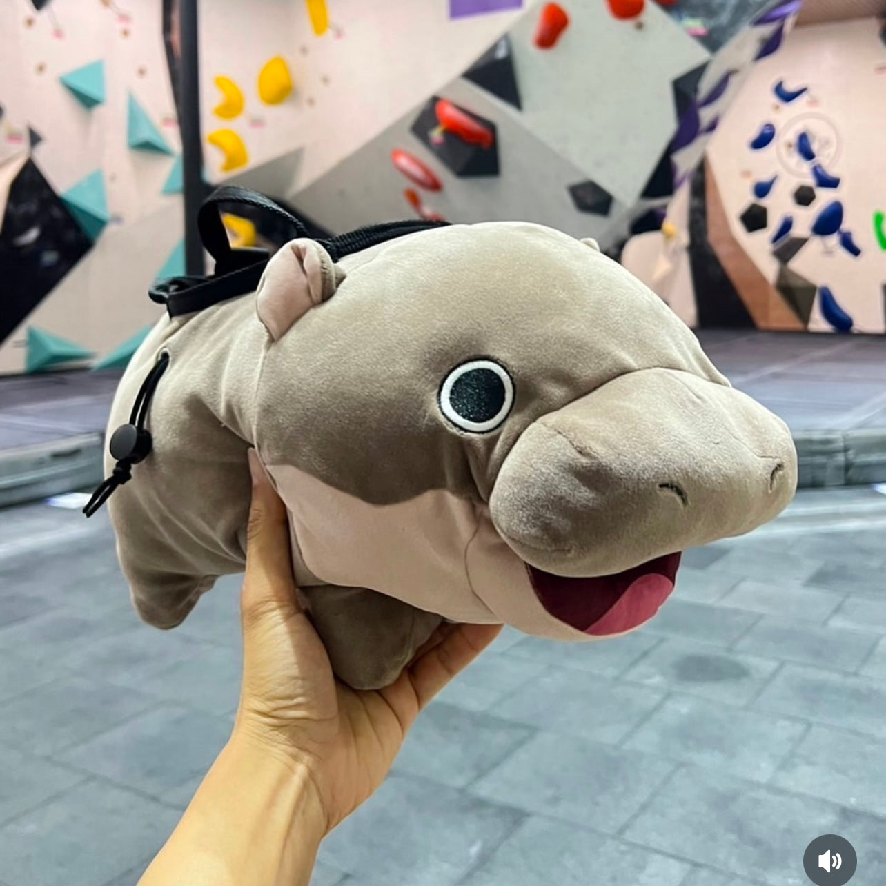 Hippo Bouldering Bag