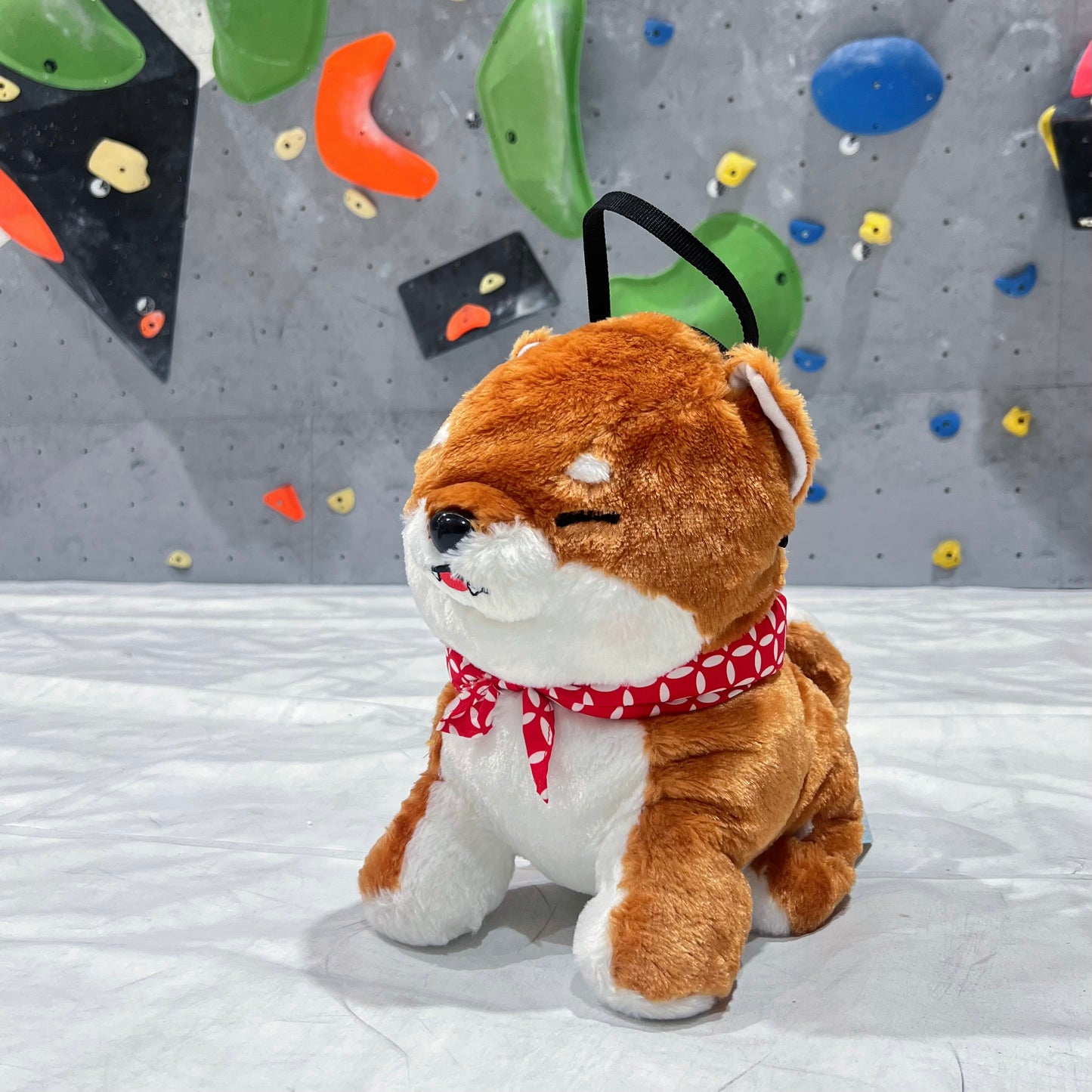 Shiba Bouldering bag