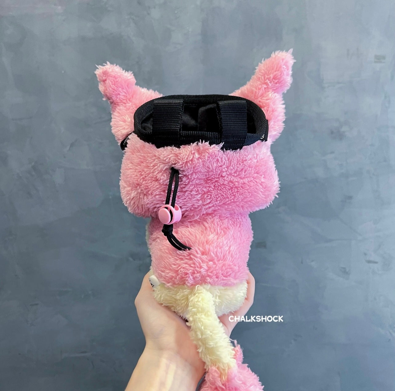 Skitty Chalk bag