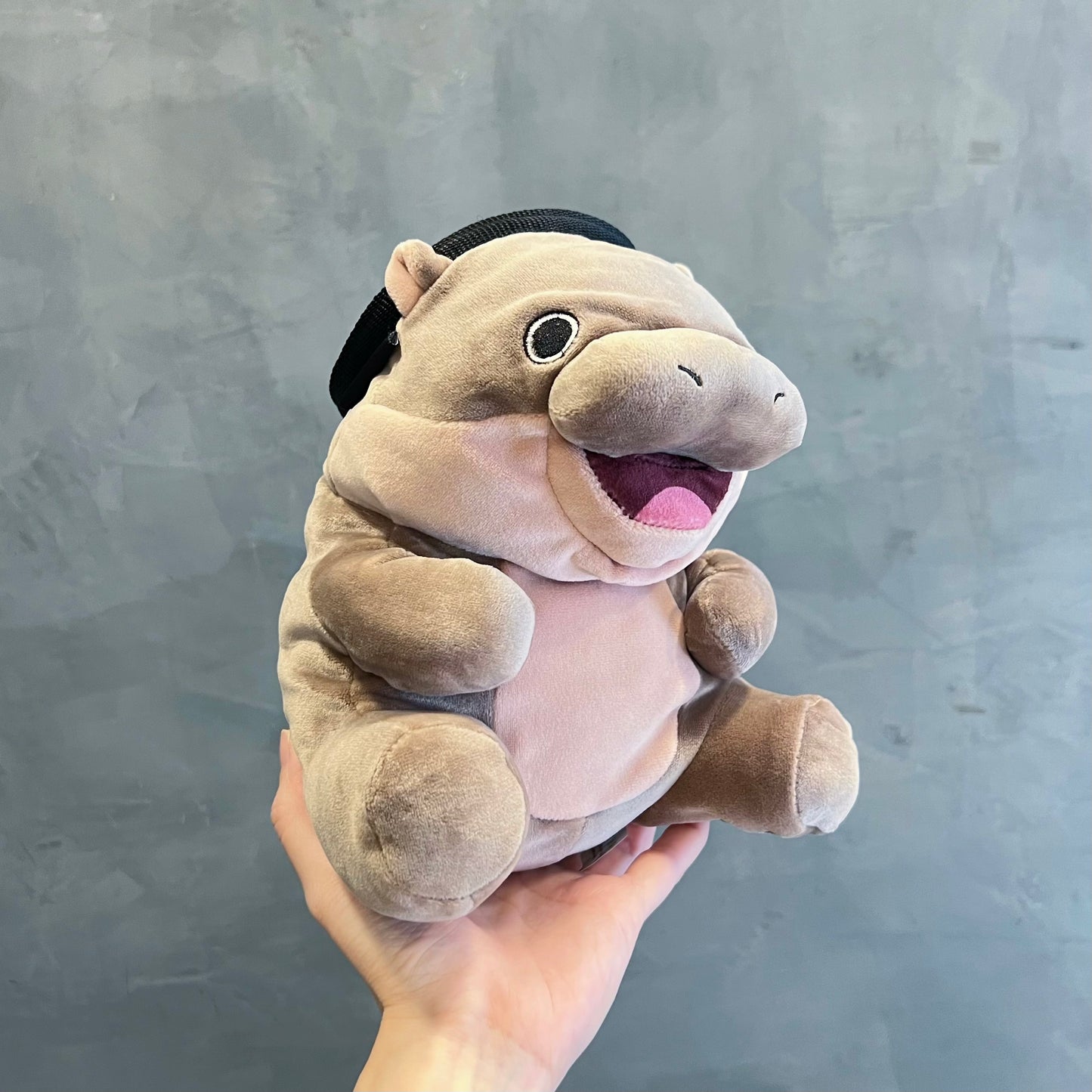 Hippo baby chalk bag