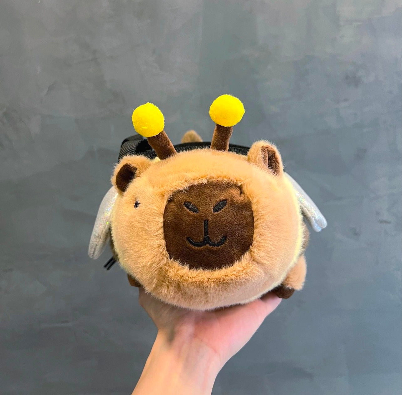 Capybeera chalk bag