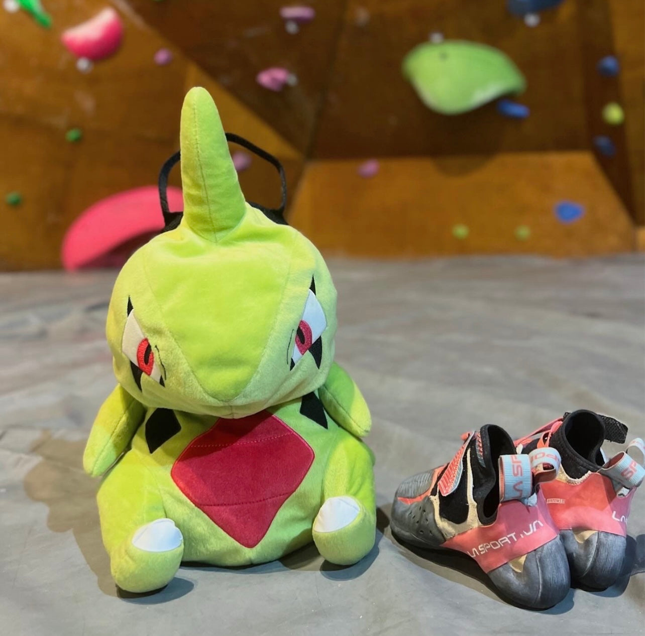 Larvitar bouldering bag