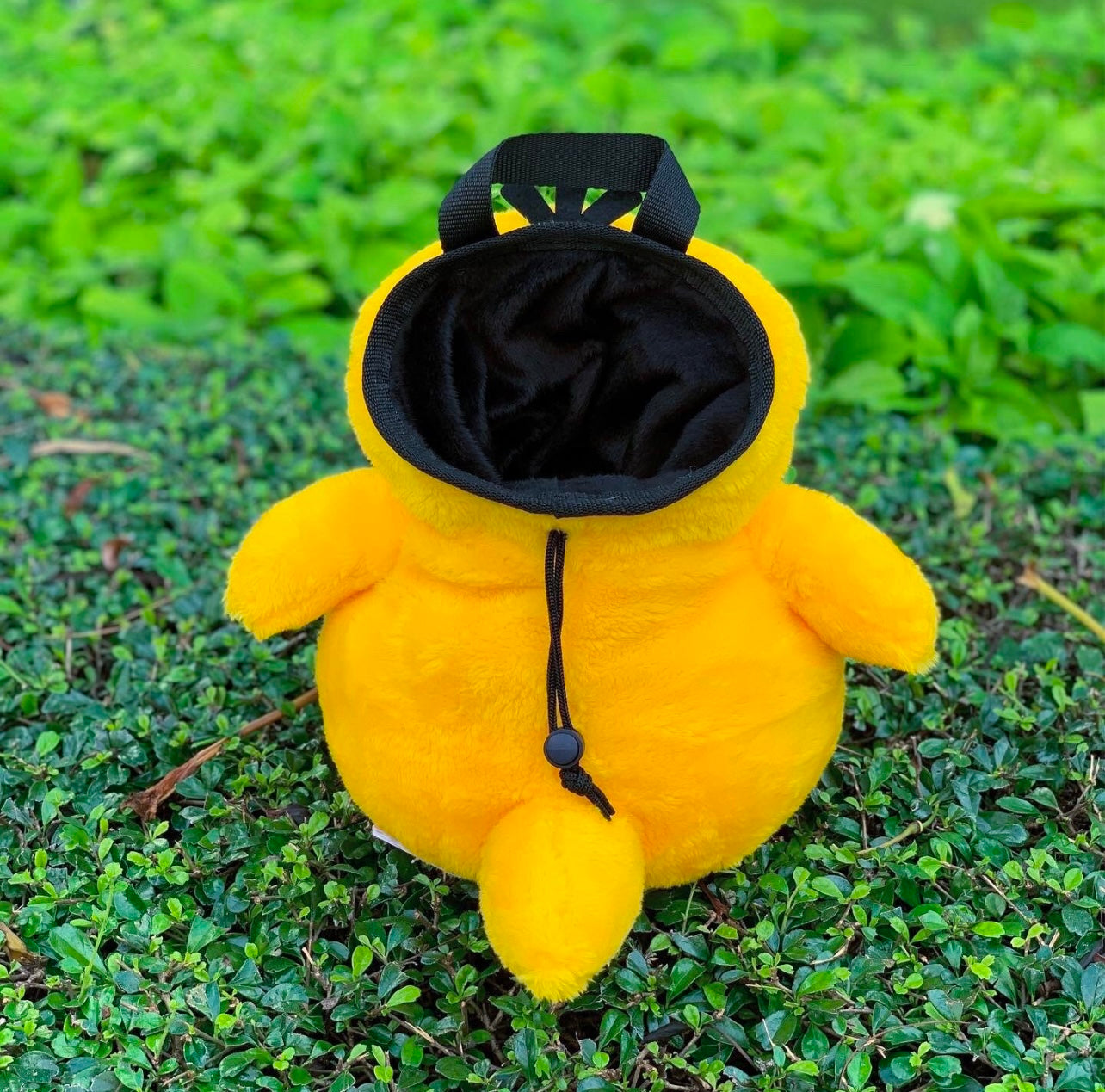 Psyduck bouldering bag