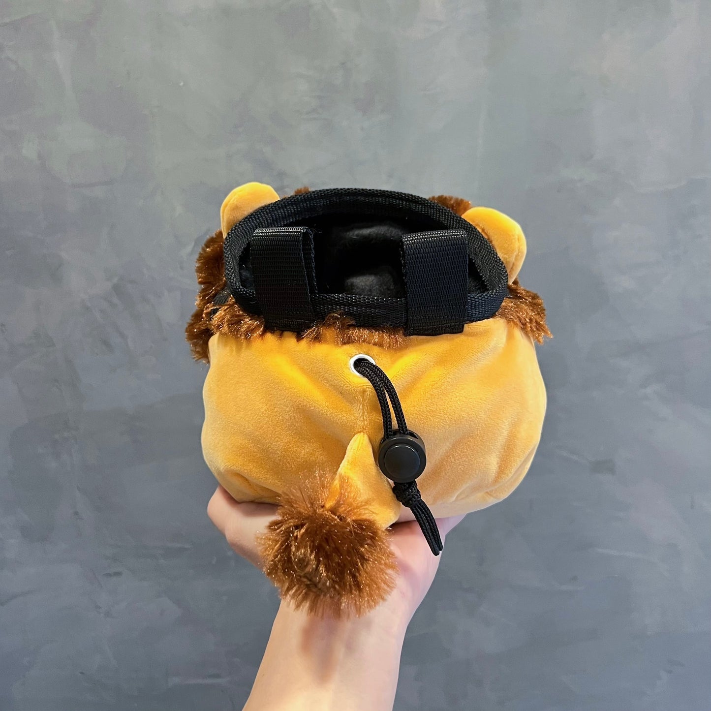 Lion Chalk bag
