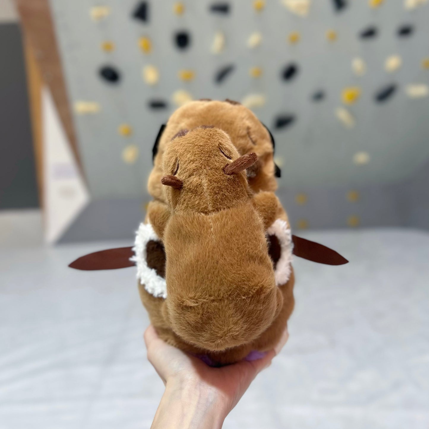 Capybara Mom & Babe Duo chalk bag