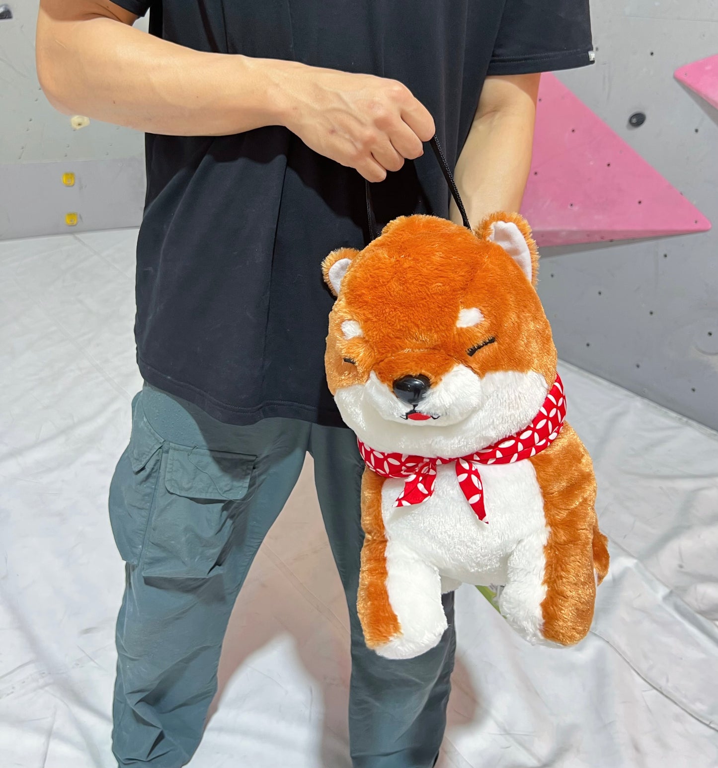 Shiba Bouldering bag