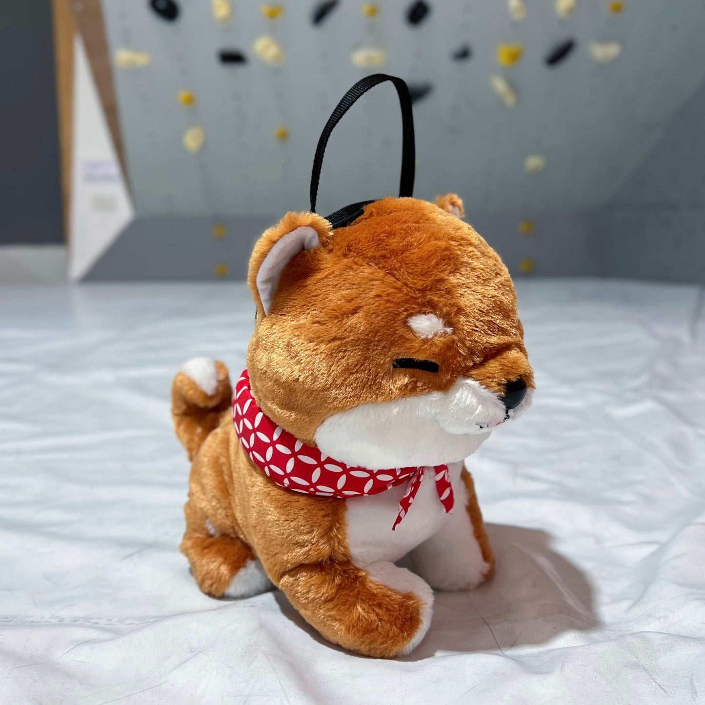 Shiba Bouldering bag