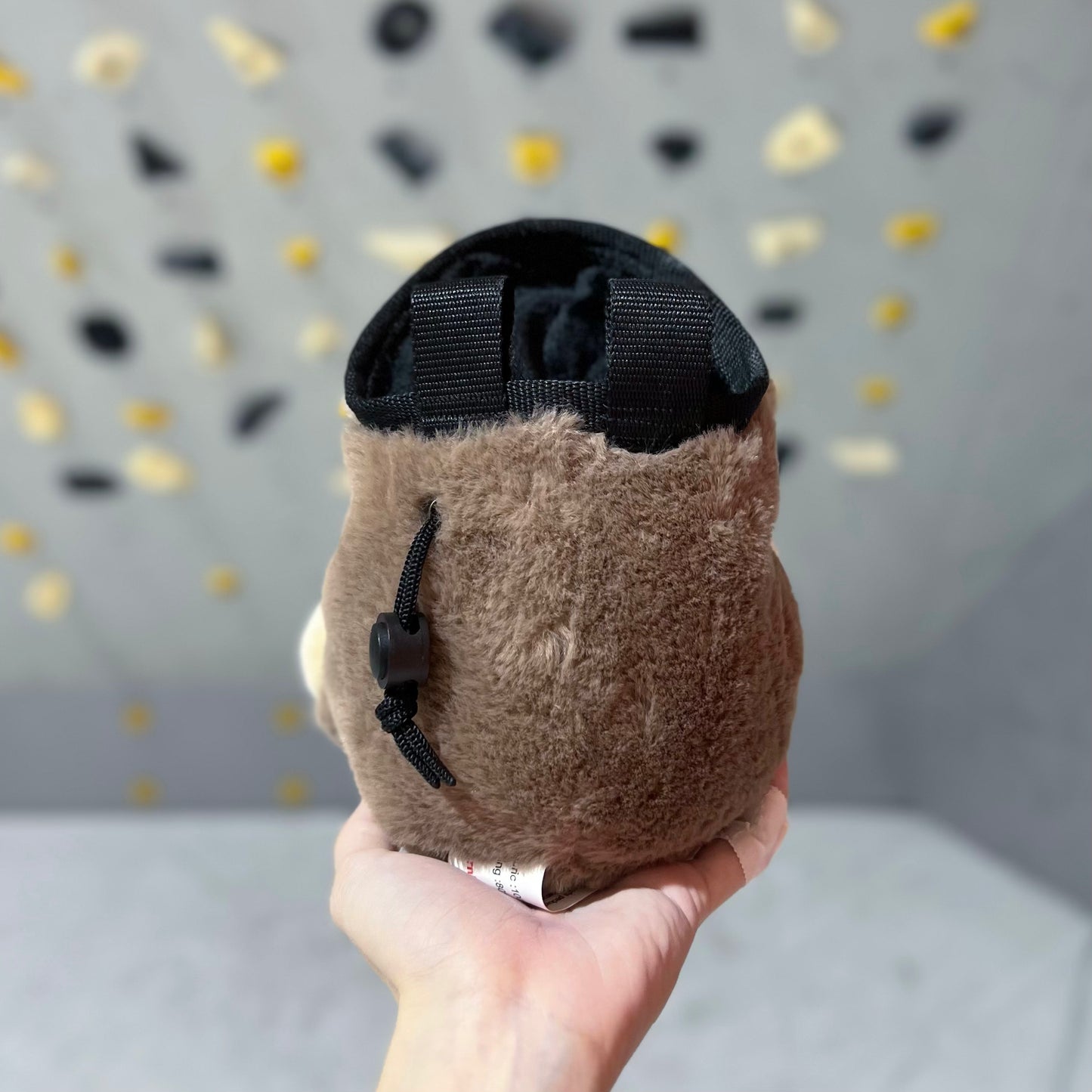 Sloth Chalk bag