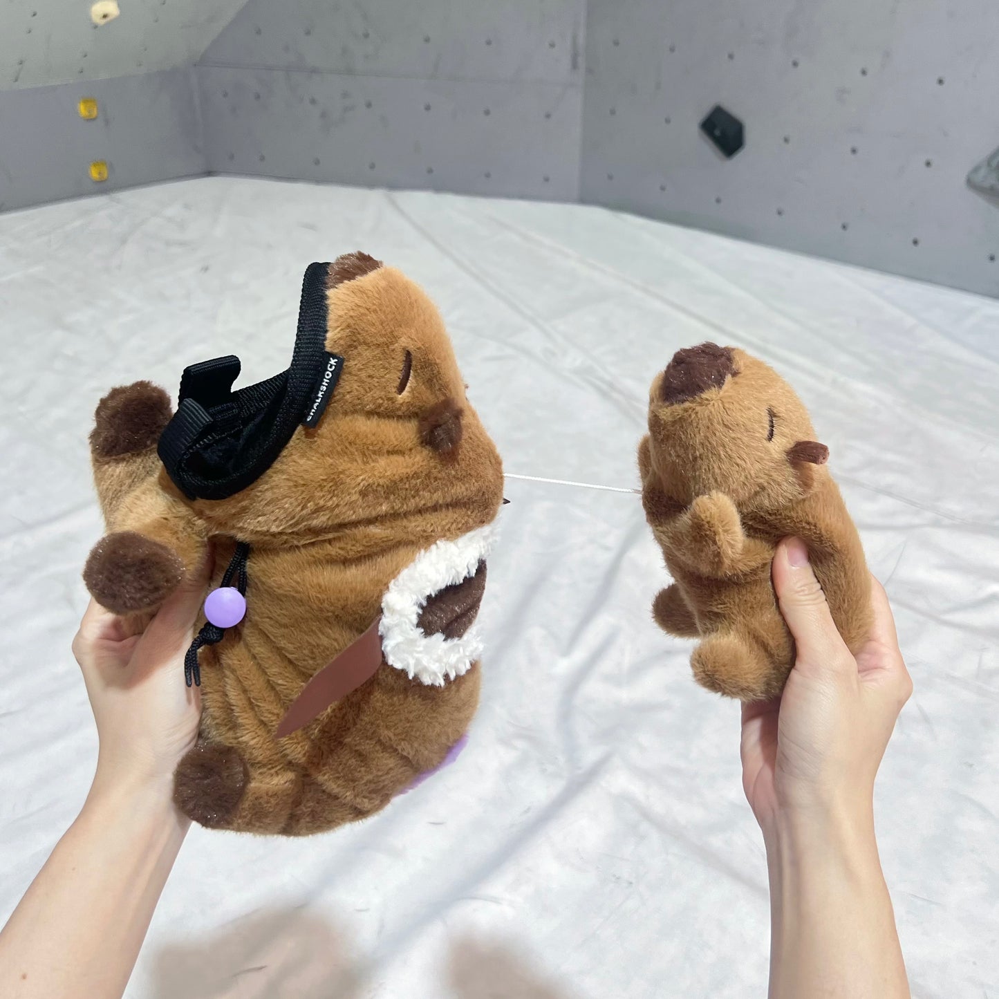 Capybara Mom & Babe Duo chalk bag