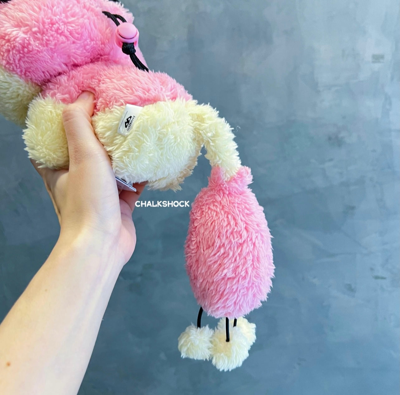 Skitty Chalk bag