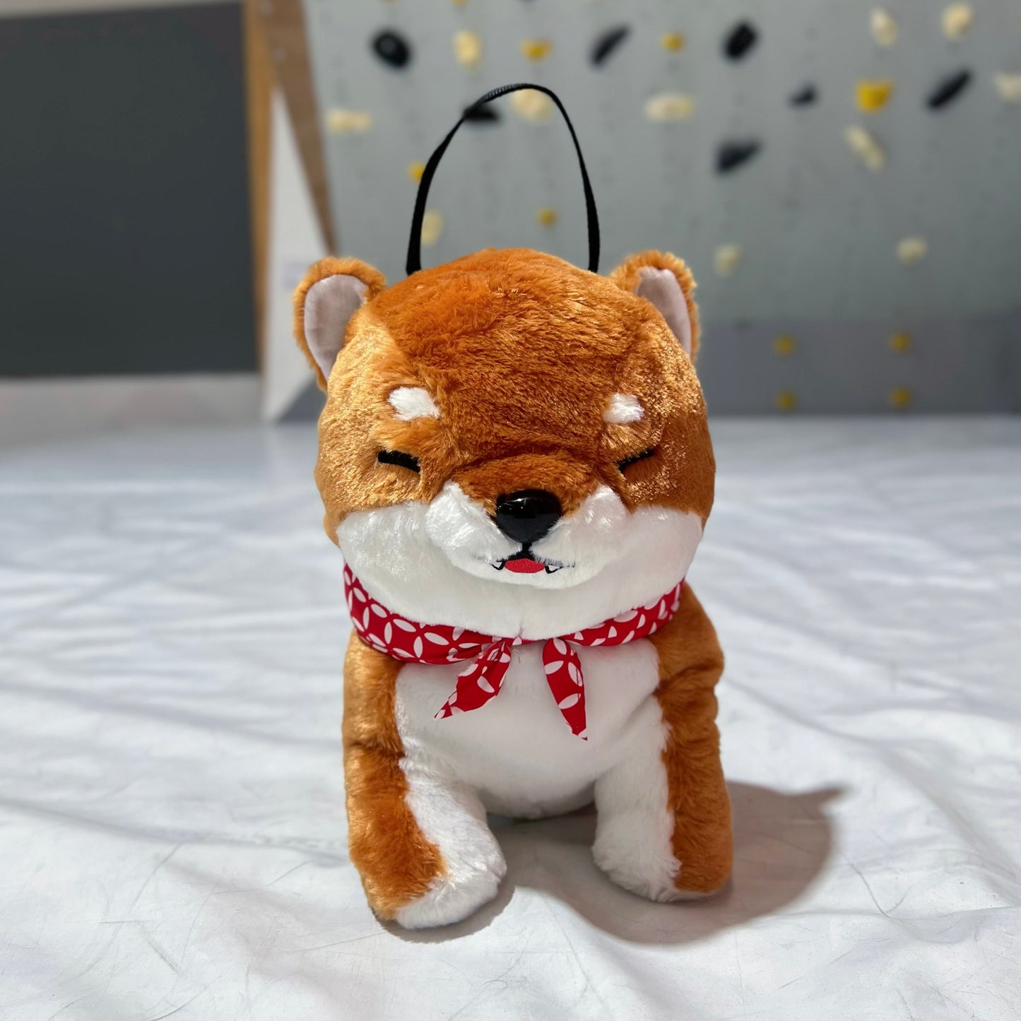 Shiba Bouldering bag