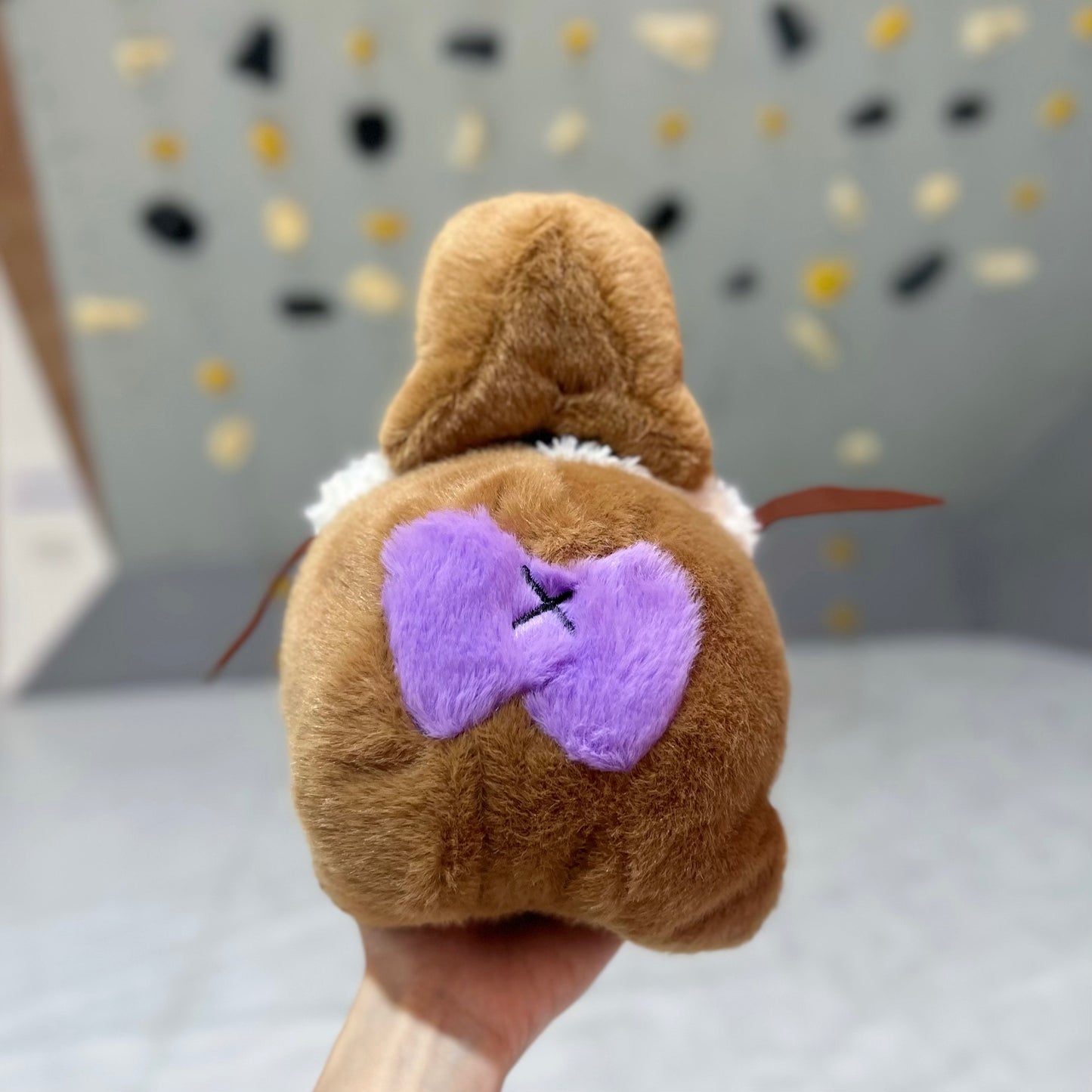 Capybara Mom & Babe Duo chalk bag