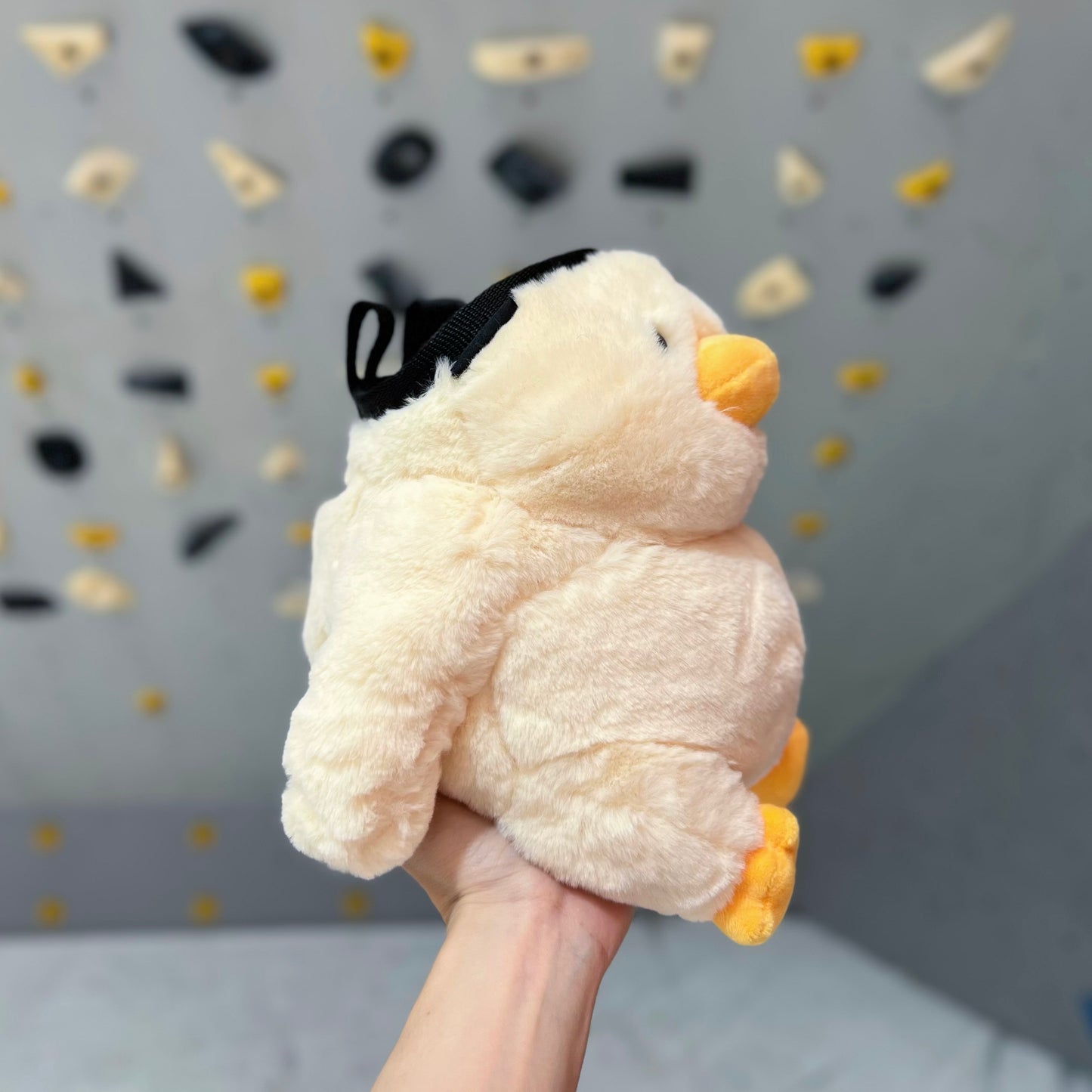 Chubby Chick chalk bag