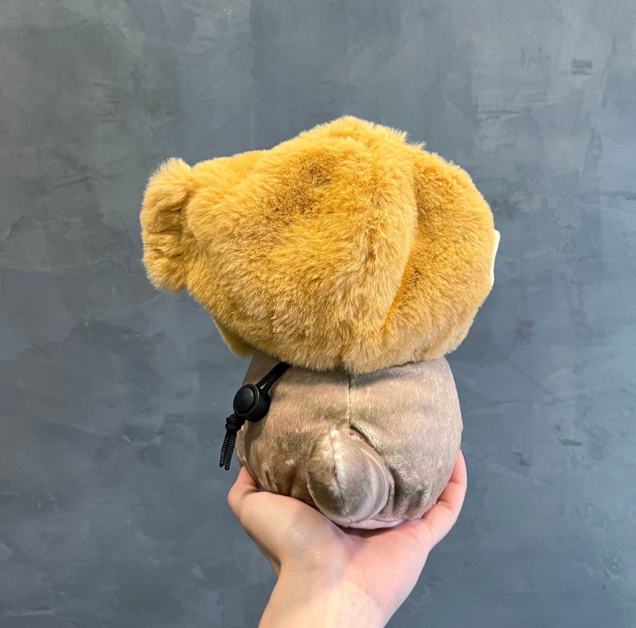 Taiyaki Brown Cat chalk bag