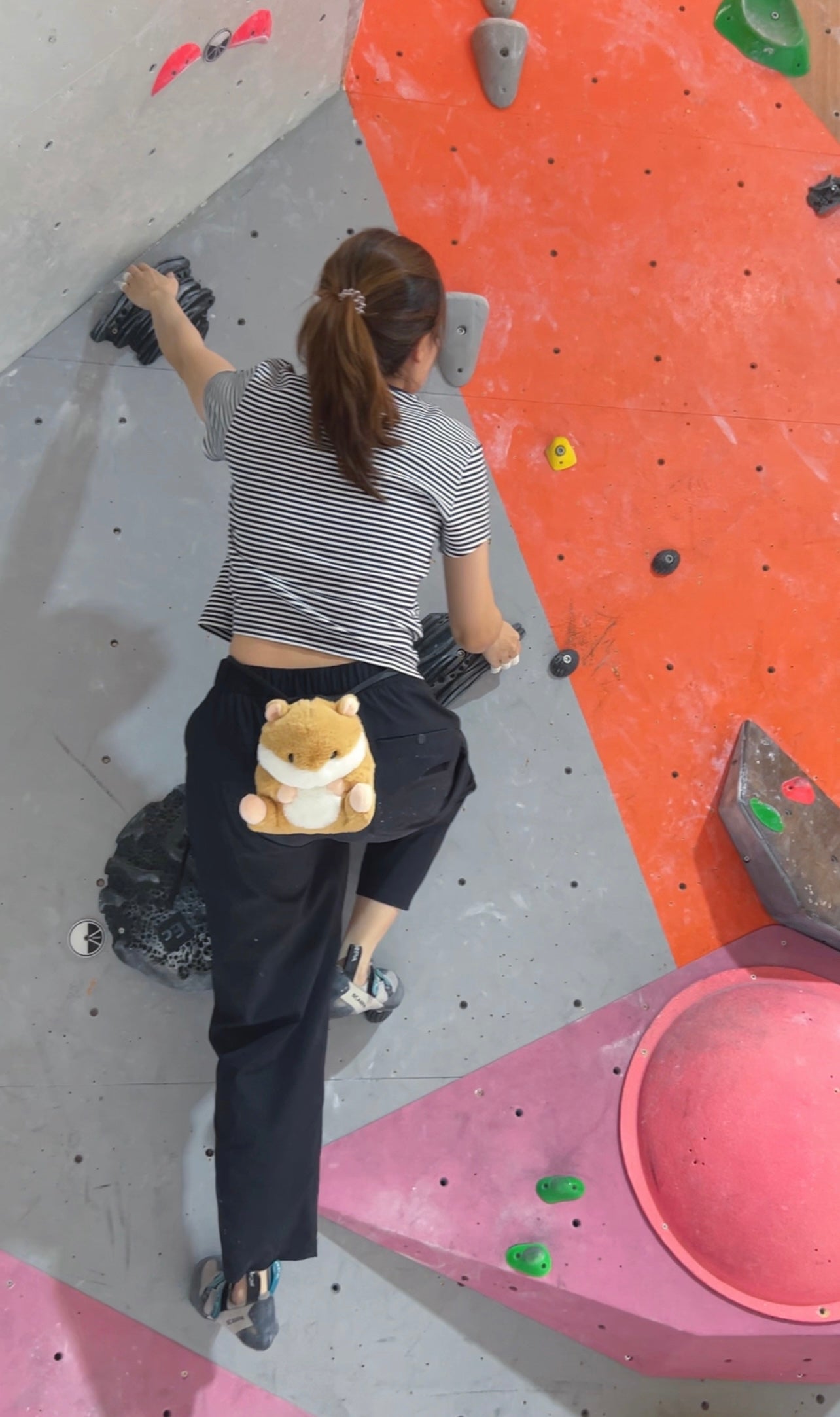 Hamster Chalk bag