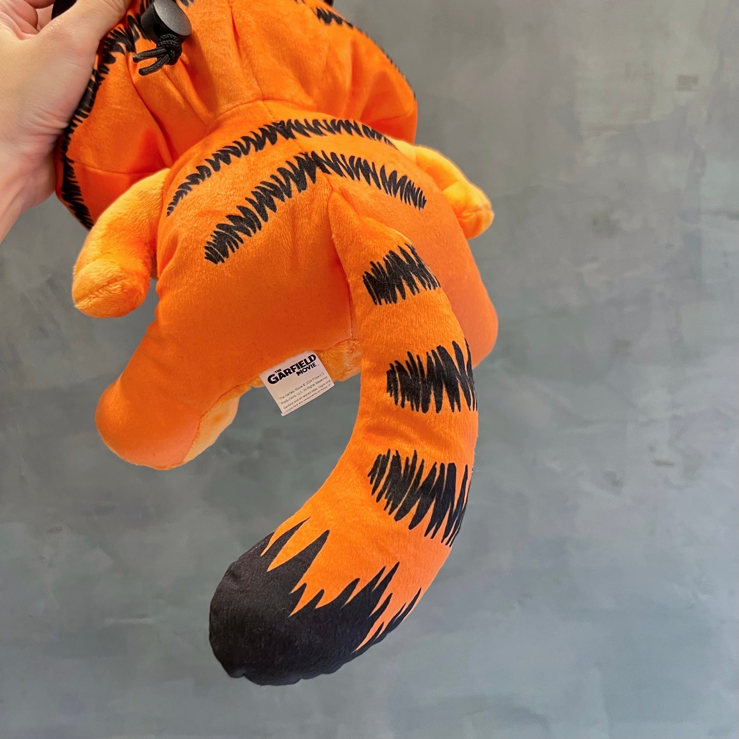 Garfield Cat chalk bag