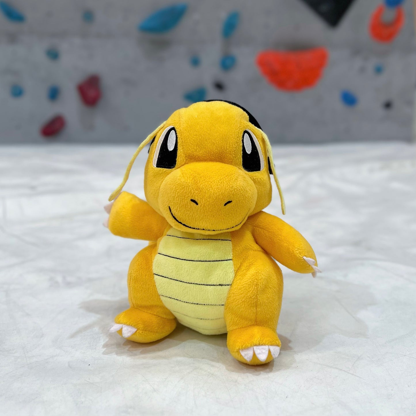 Dragonite chalk bag