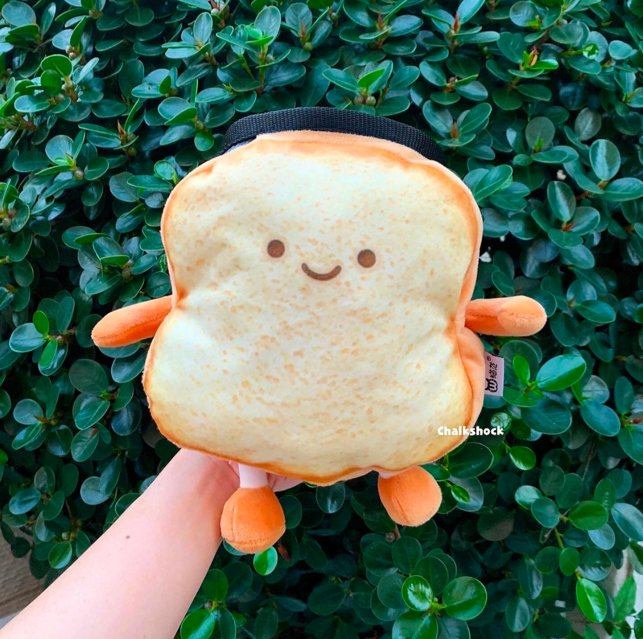 Smiley Toast chalk bag