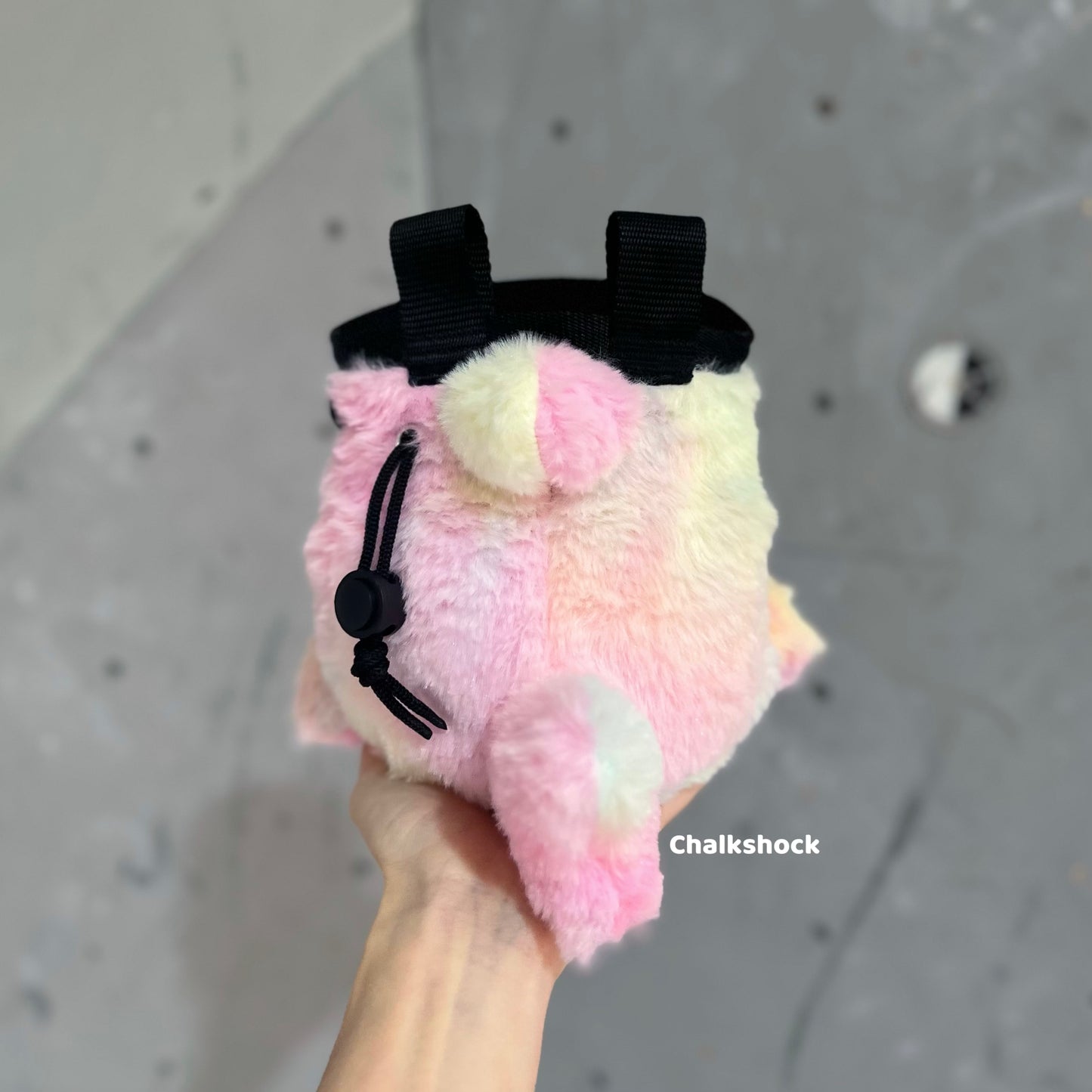 Shark Grey Cat chalk bag (pastel)