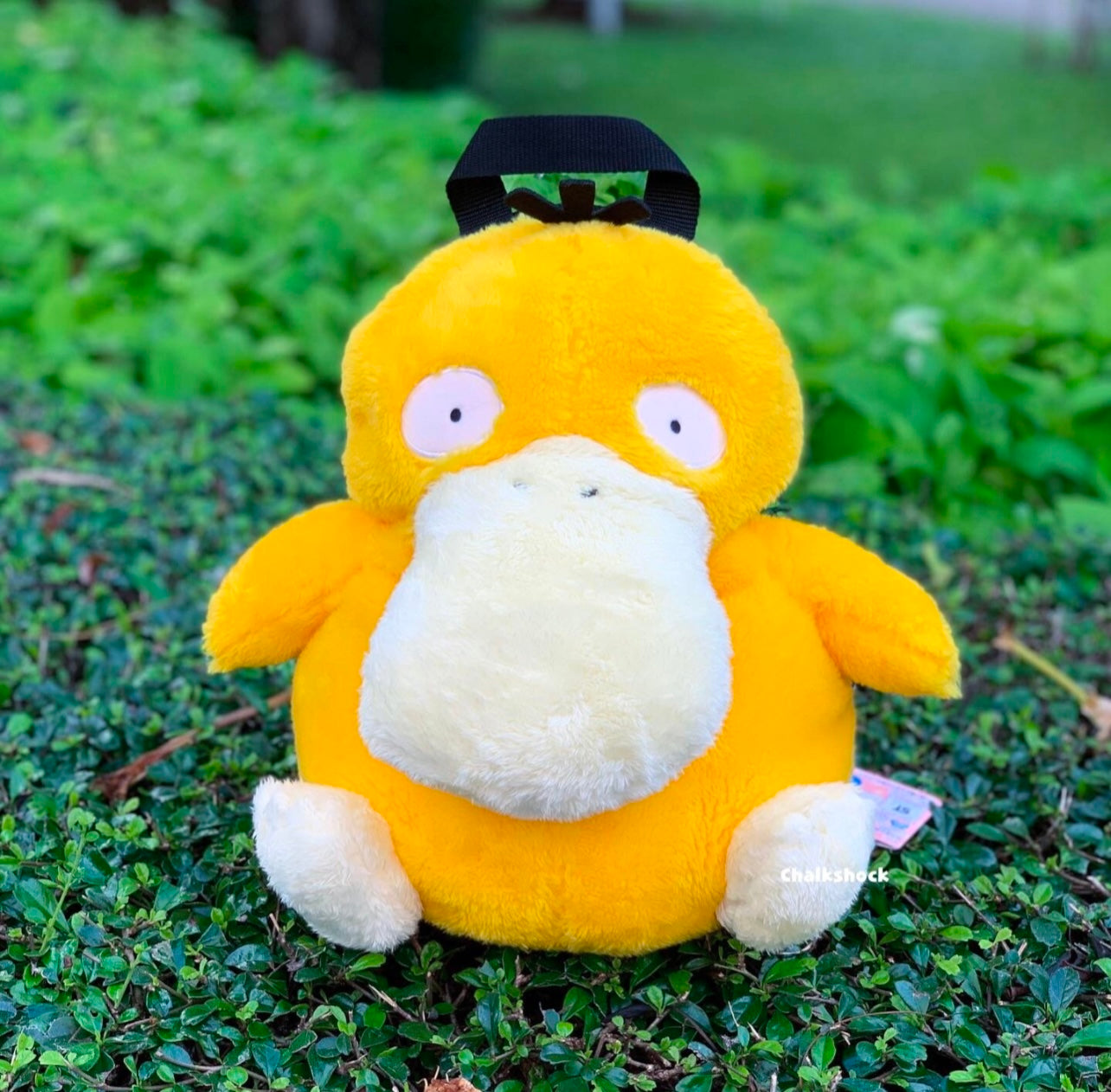 Psyduck bouldering bag