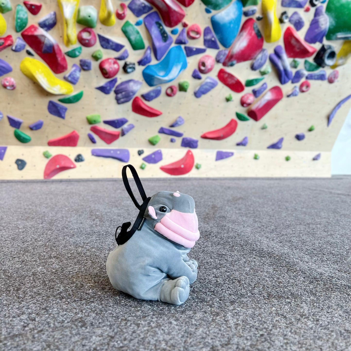 Hippo Baby Bouldering Bag / chalk bag