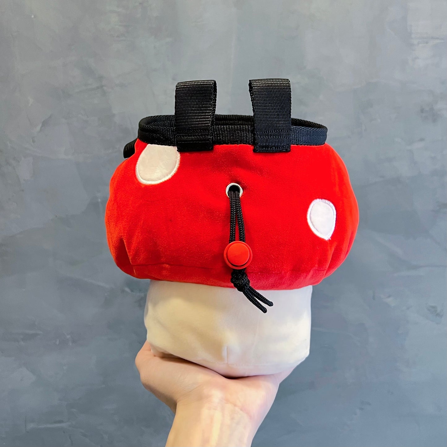 Mushroom chalk bag