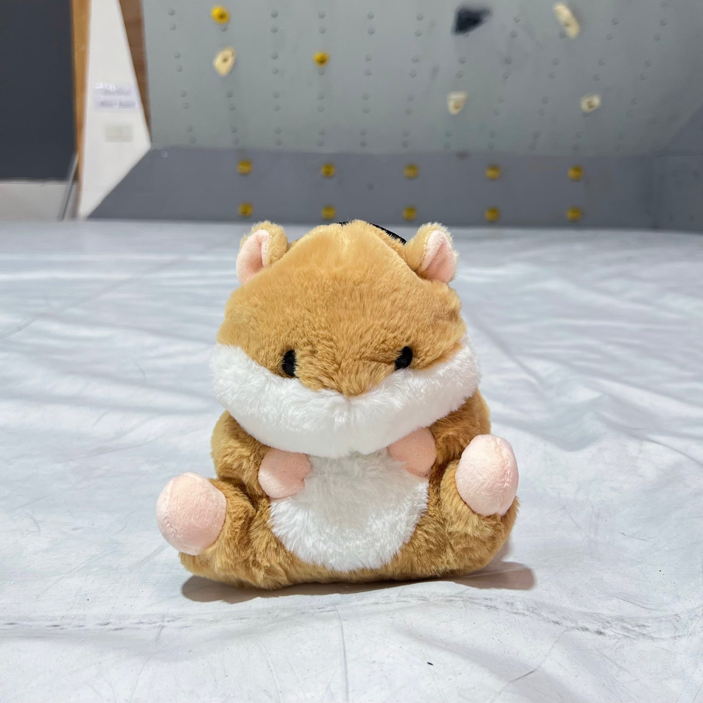 Hamster Chalk bag