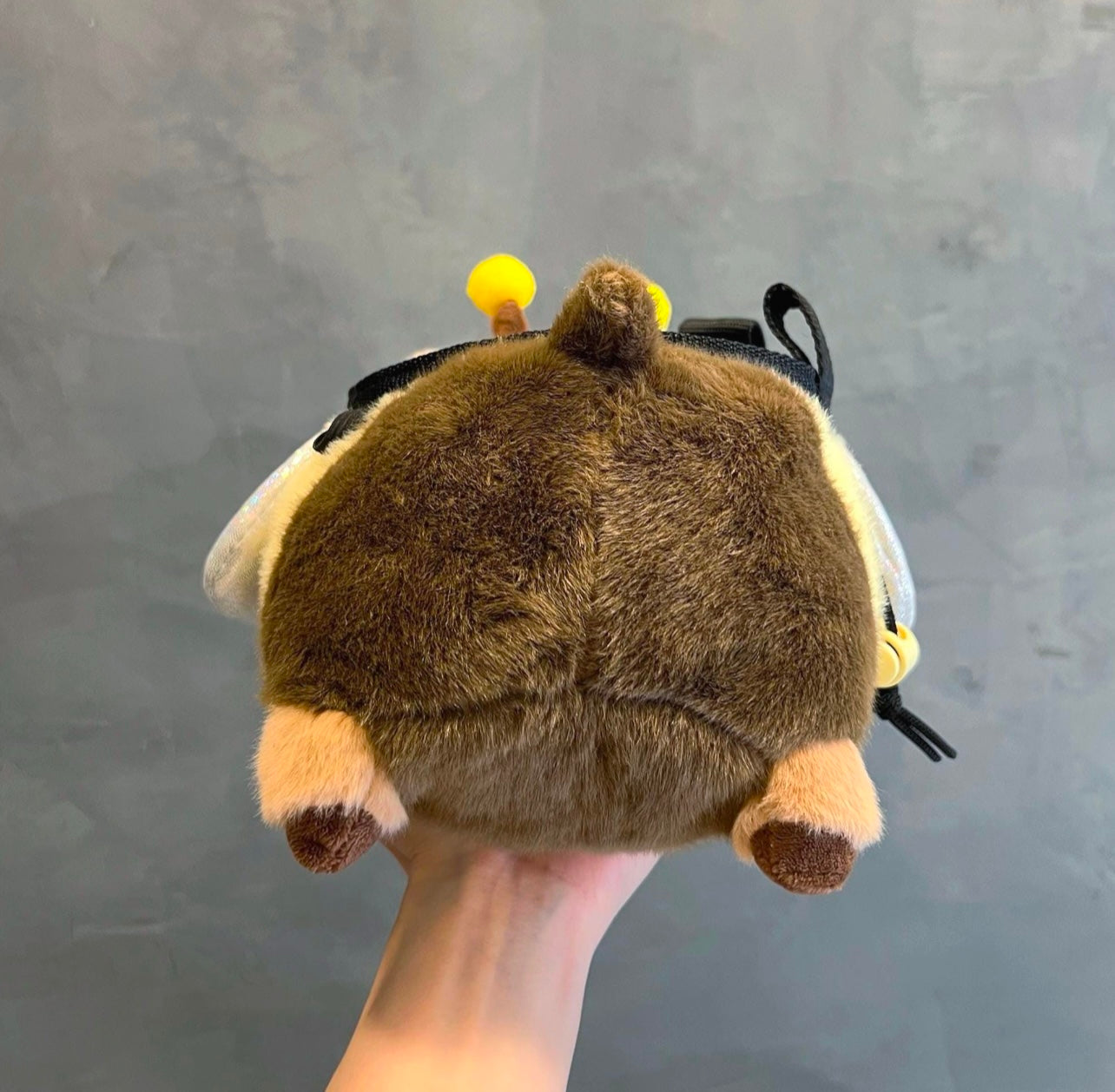 Capybeera chalk bag