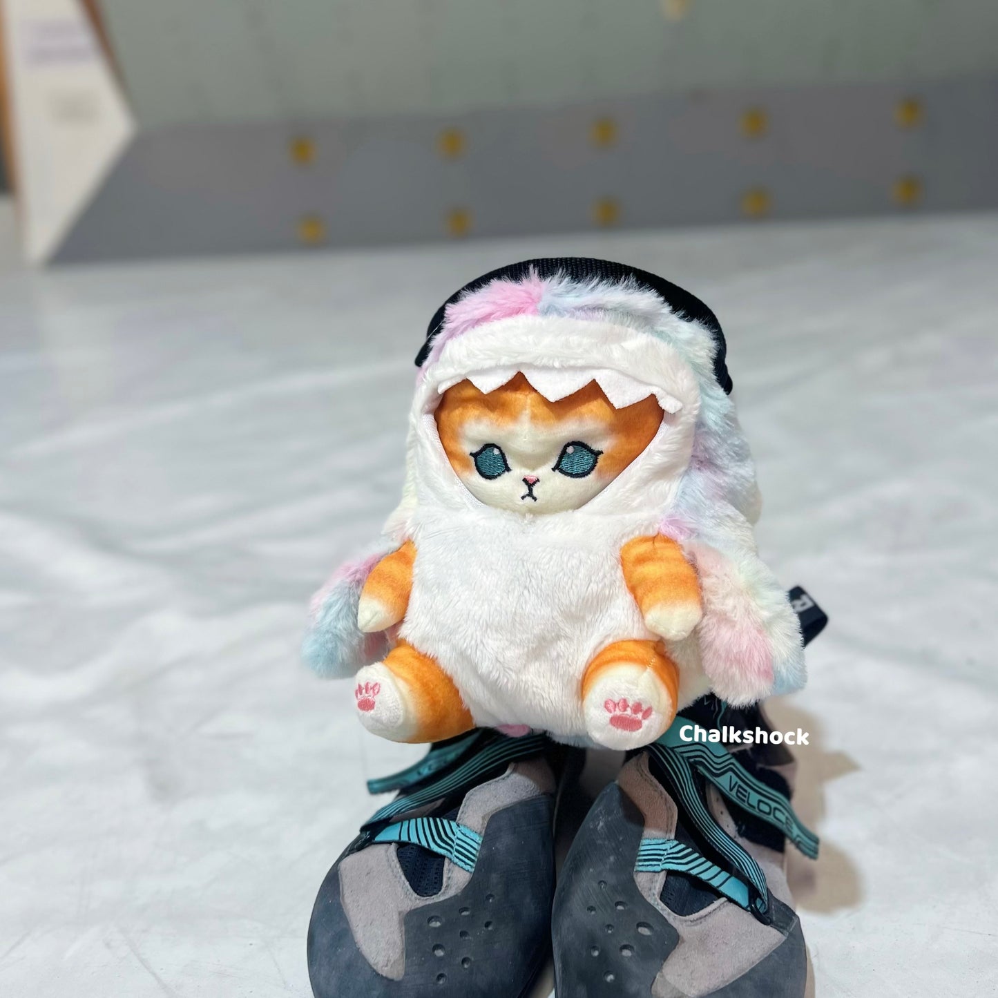 Shark Orange Cat chalk bag (pastel)