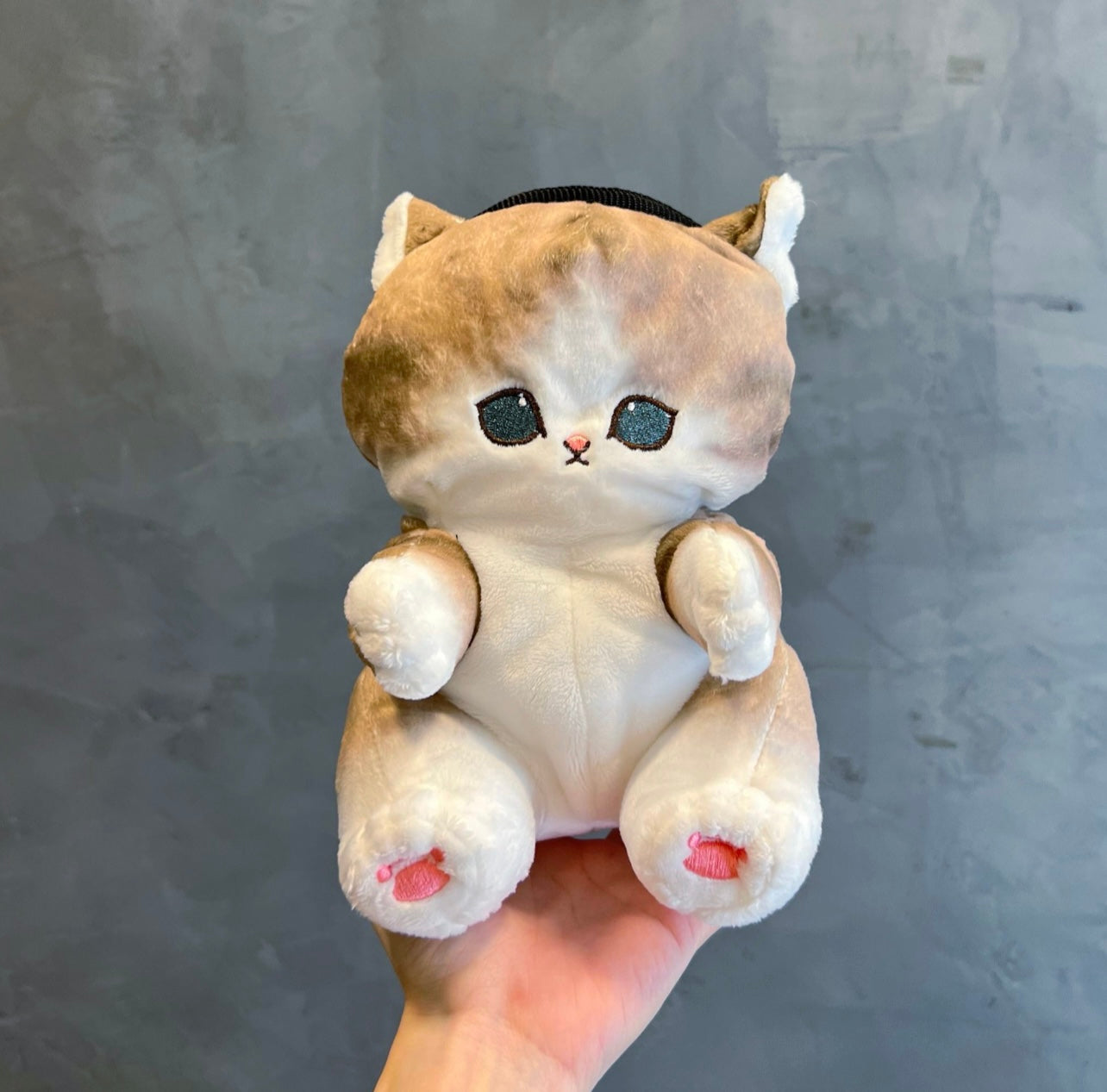 Taiyaki Brown Cat chalk bag