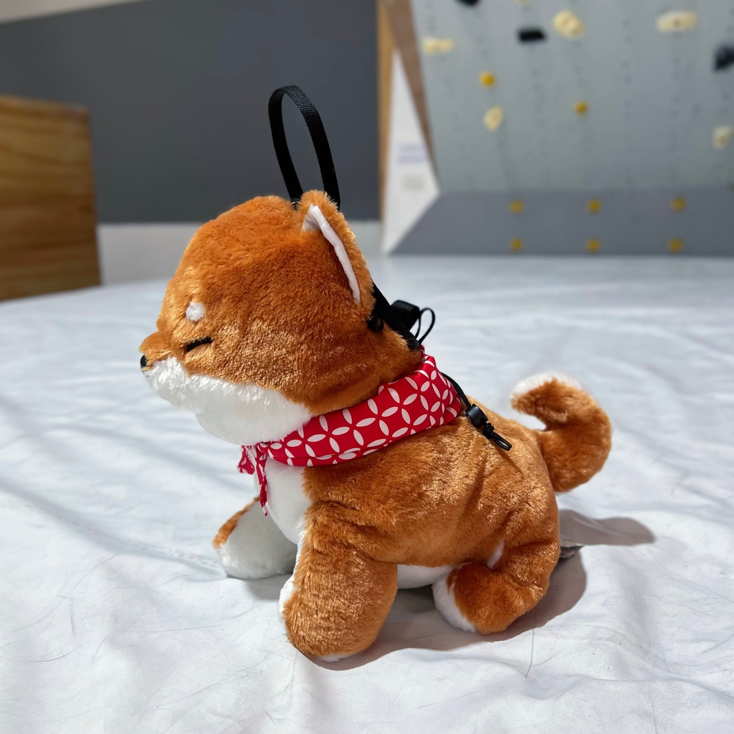 Shiba Bouldering bag