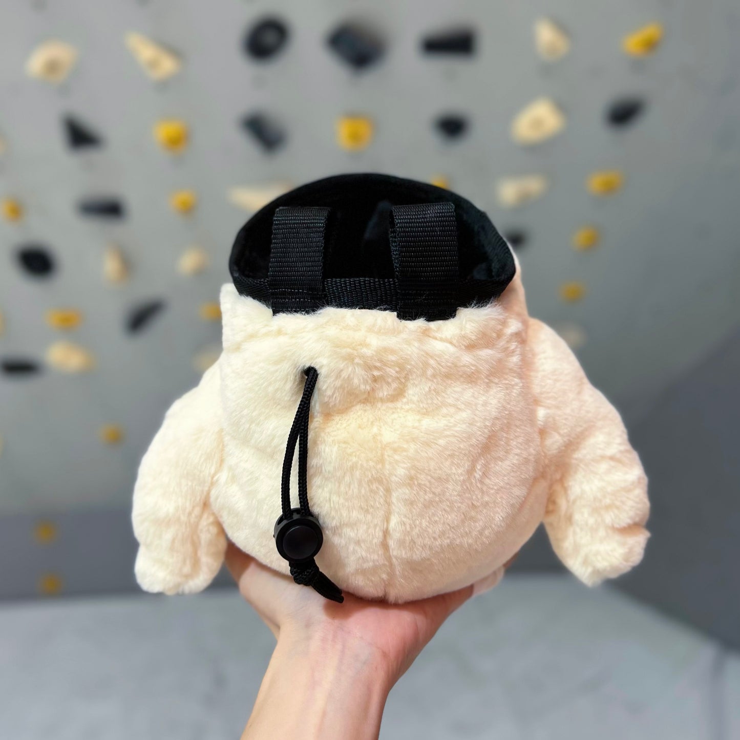 Chubby Chick chalk bag