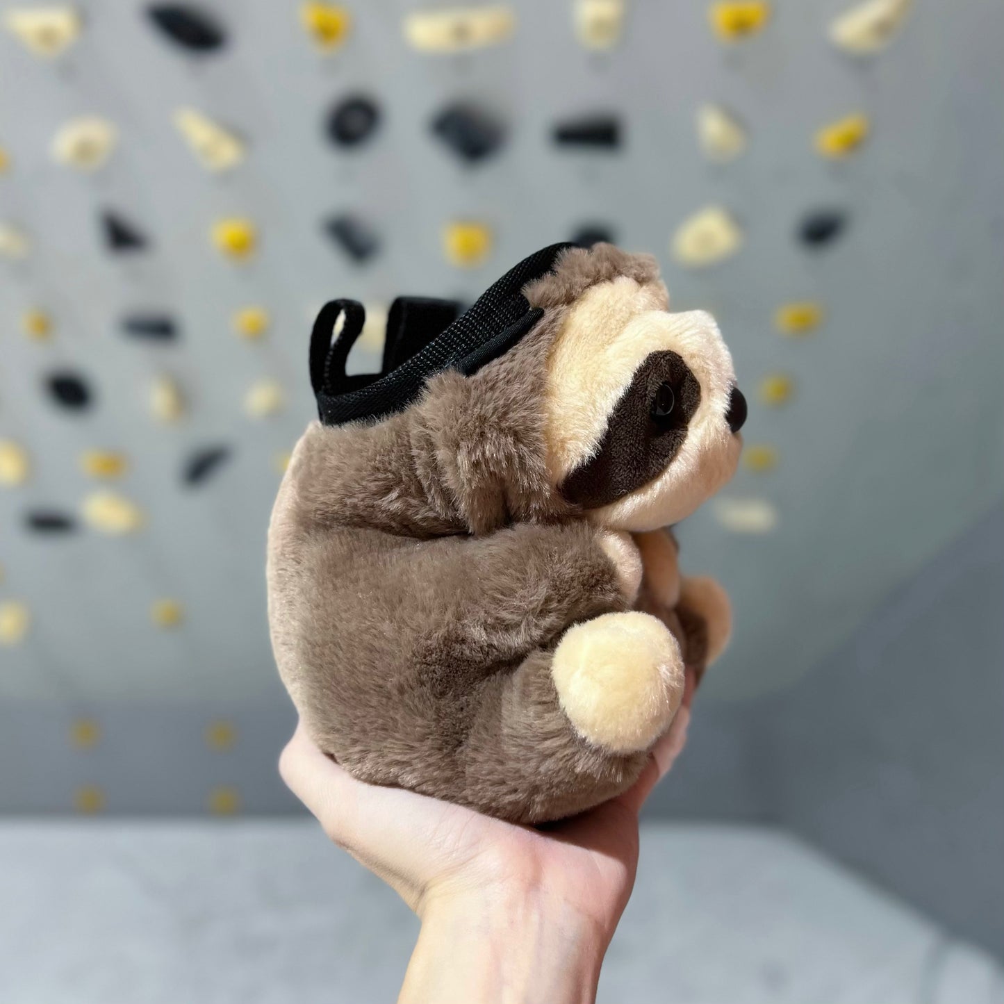 Sloth Chalk bag