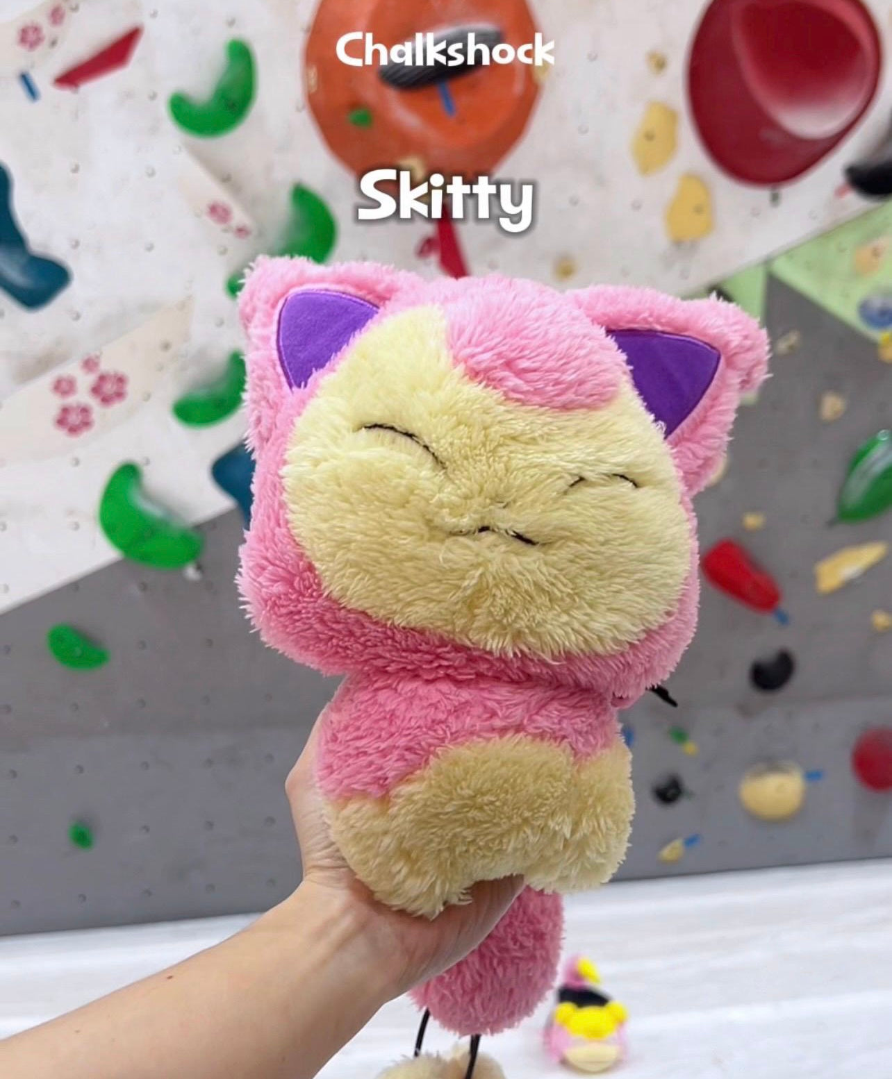 Skitty Chalk bag