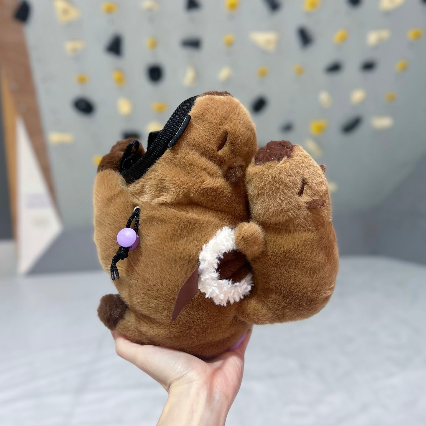 Capybara Mom & Babe Duo chalk bag