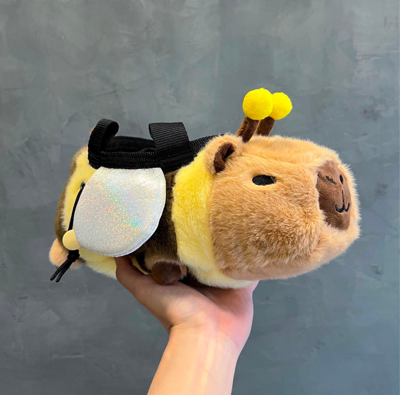 Capybeera chalk bag