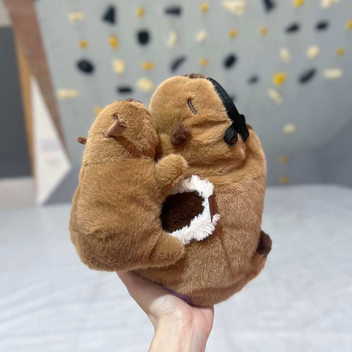 Capybara Mom & Babe Duo chalk bag