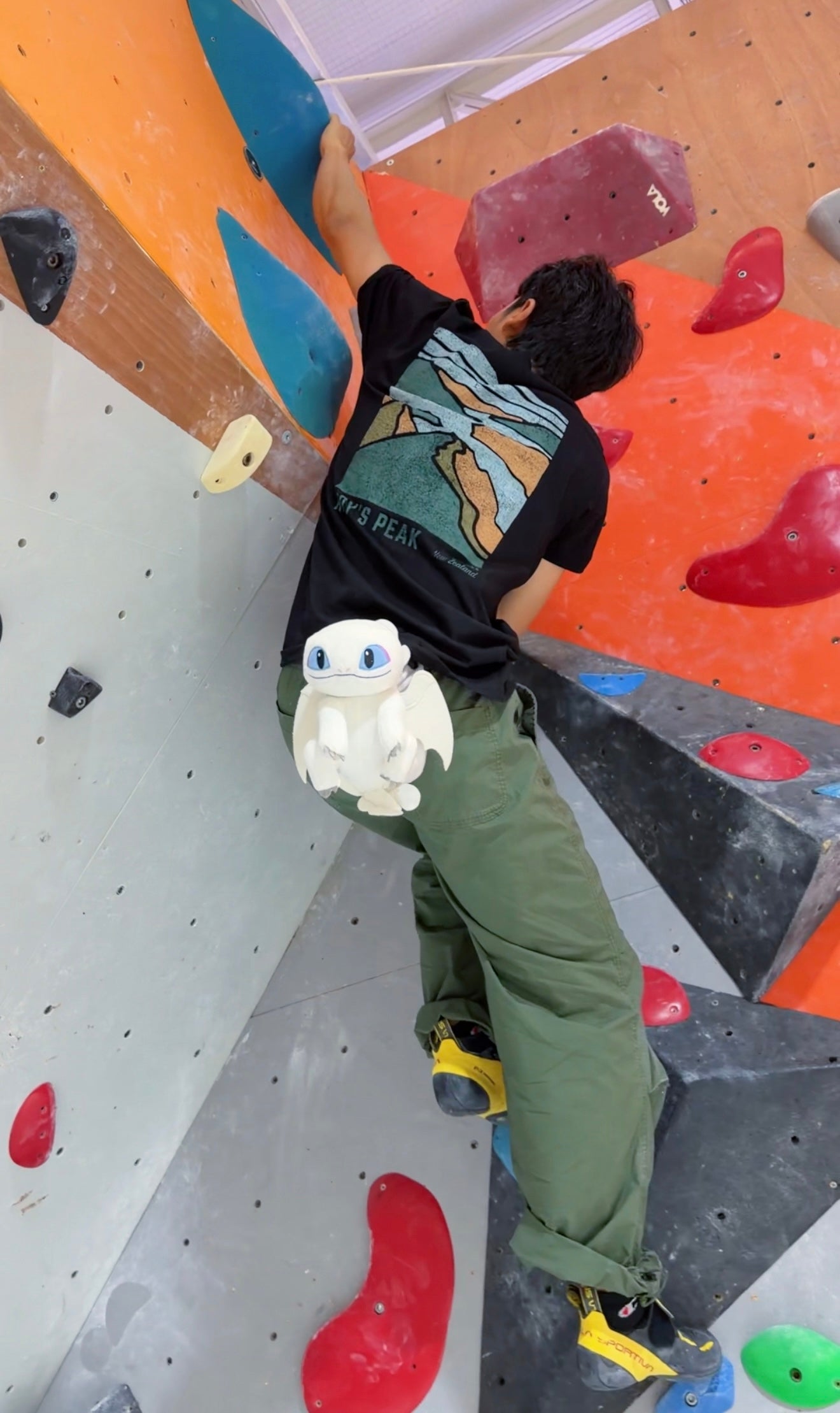 Baby Light Fury Dragon chalk bag