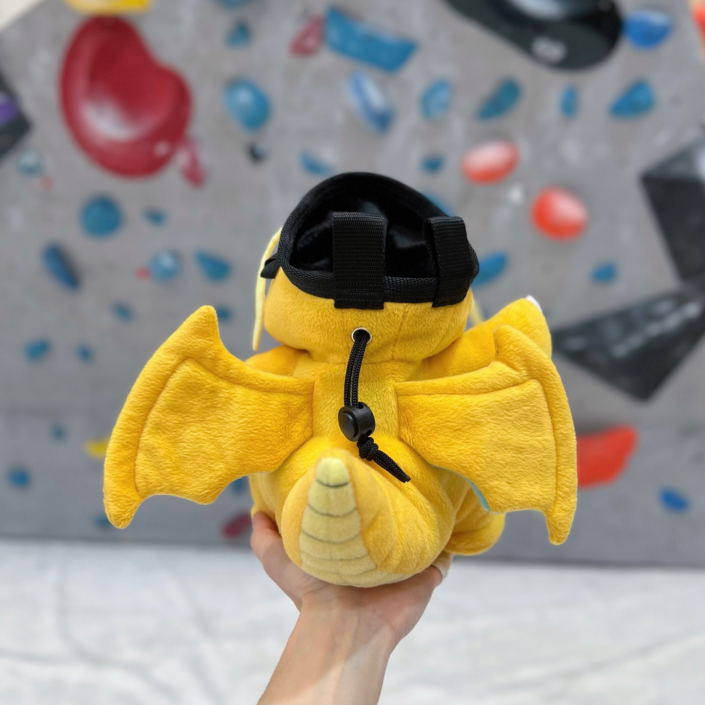 Dragonite chalk bag