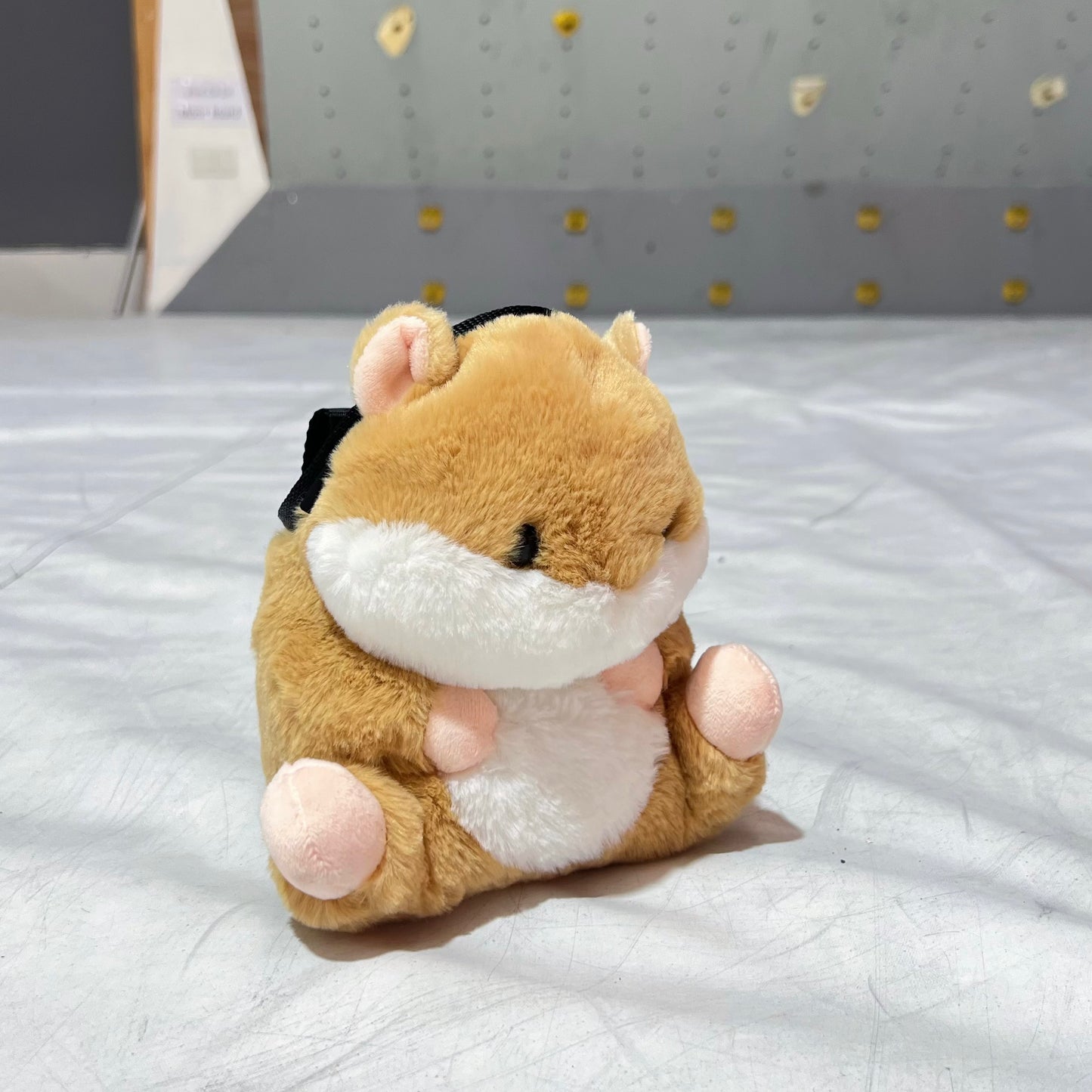 Hamster Chalk bag