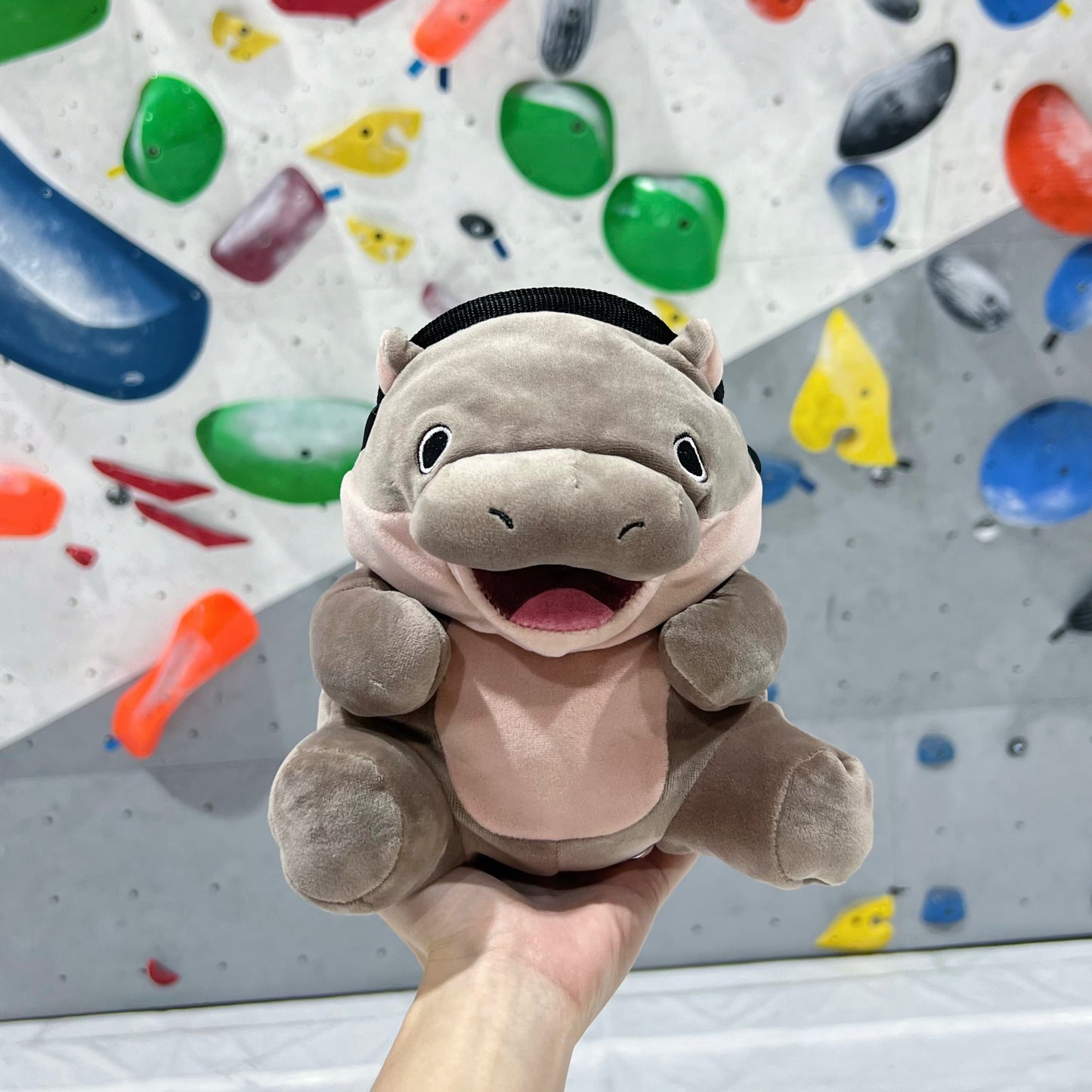 Hippo baby chalk bag