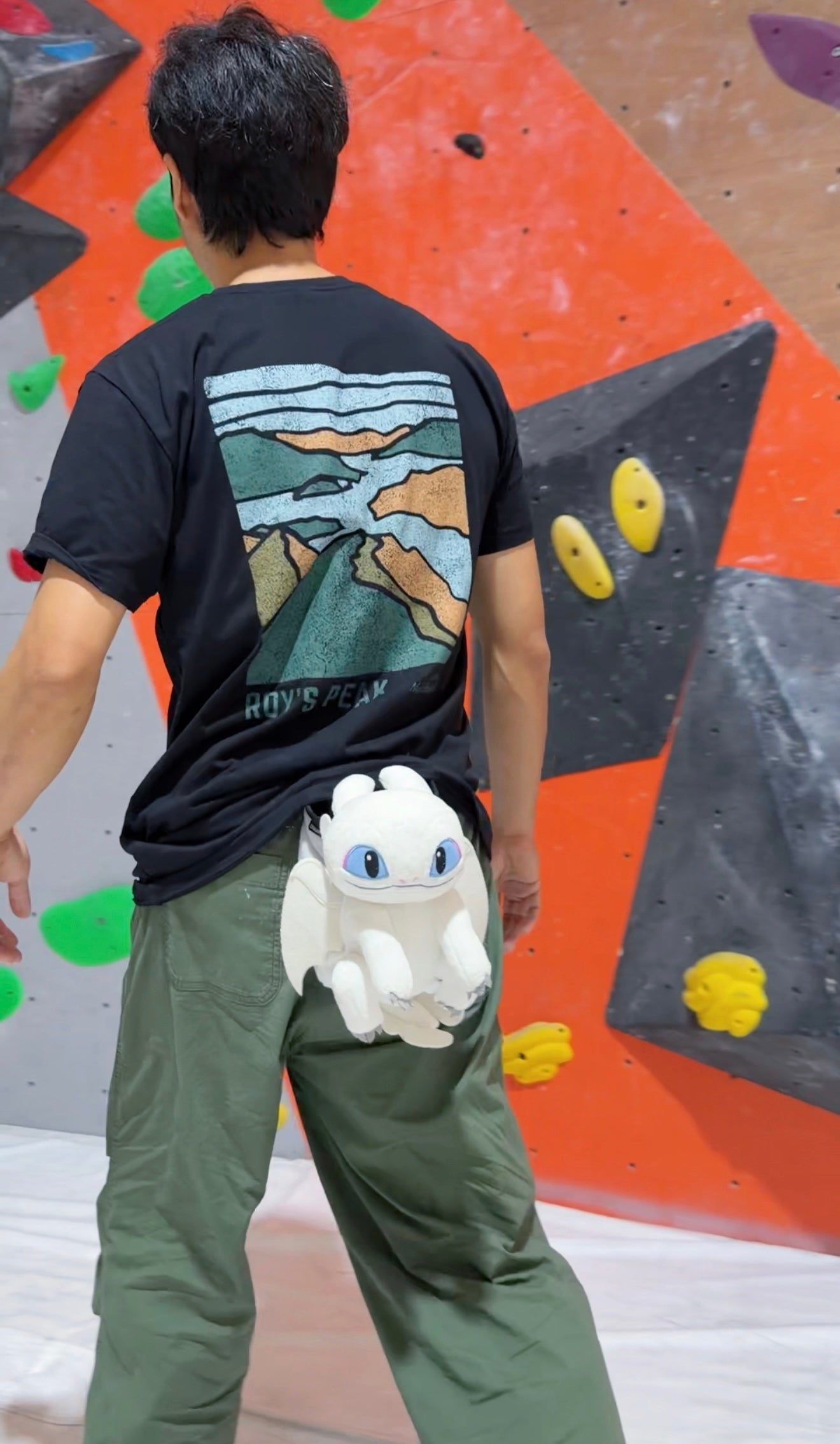 Baby Light Fury Dragon chalk bag