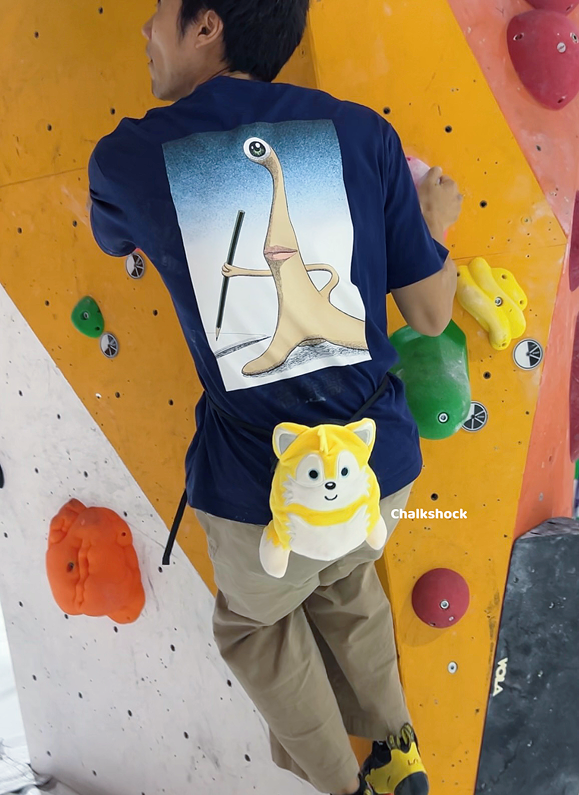 Tails Miles Prower chalk bag
