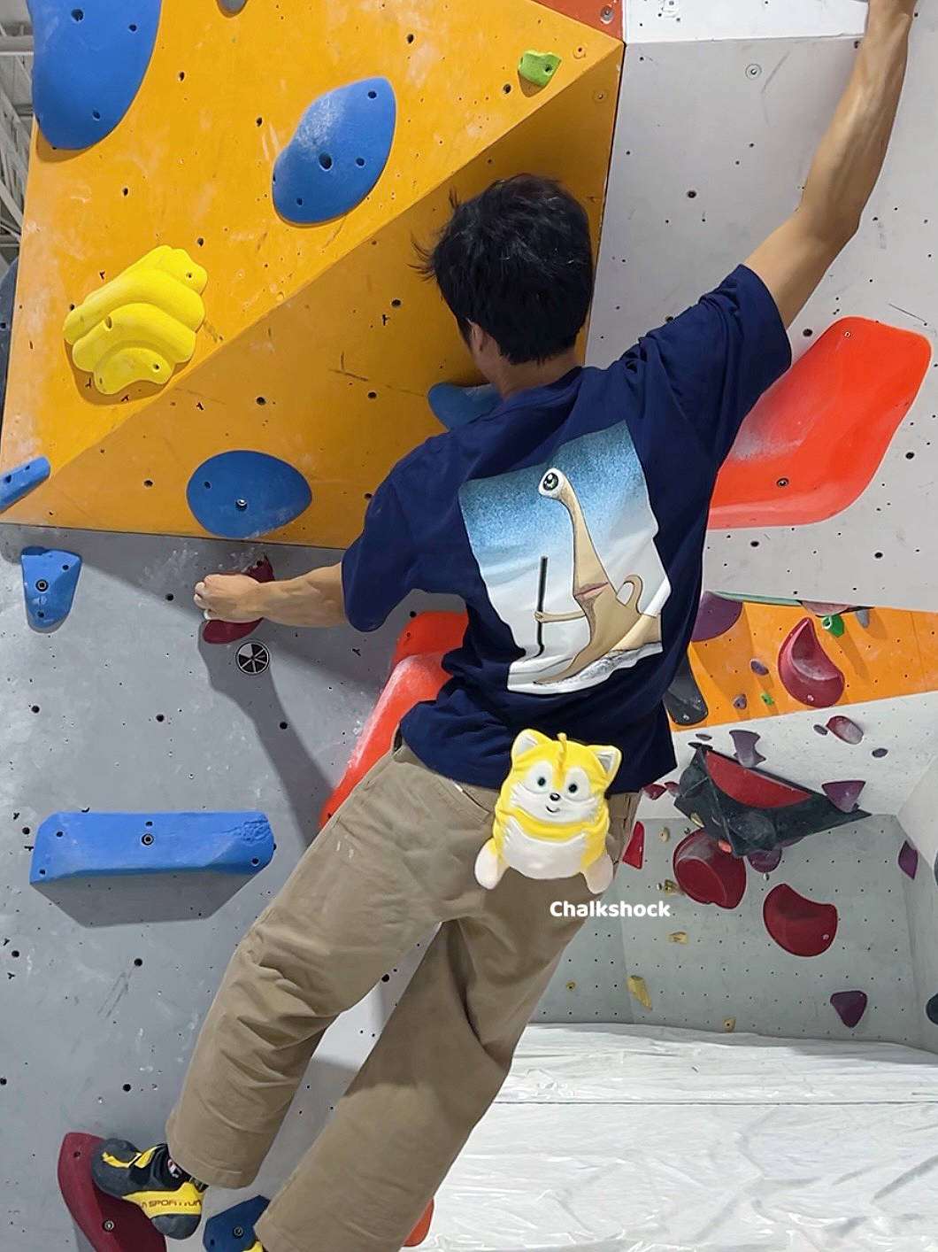 Tails Miles Prower chalk bag
